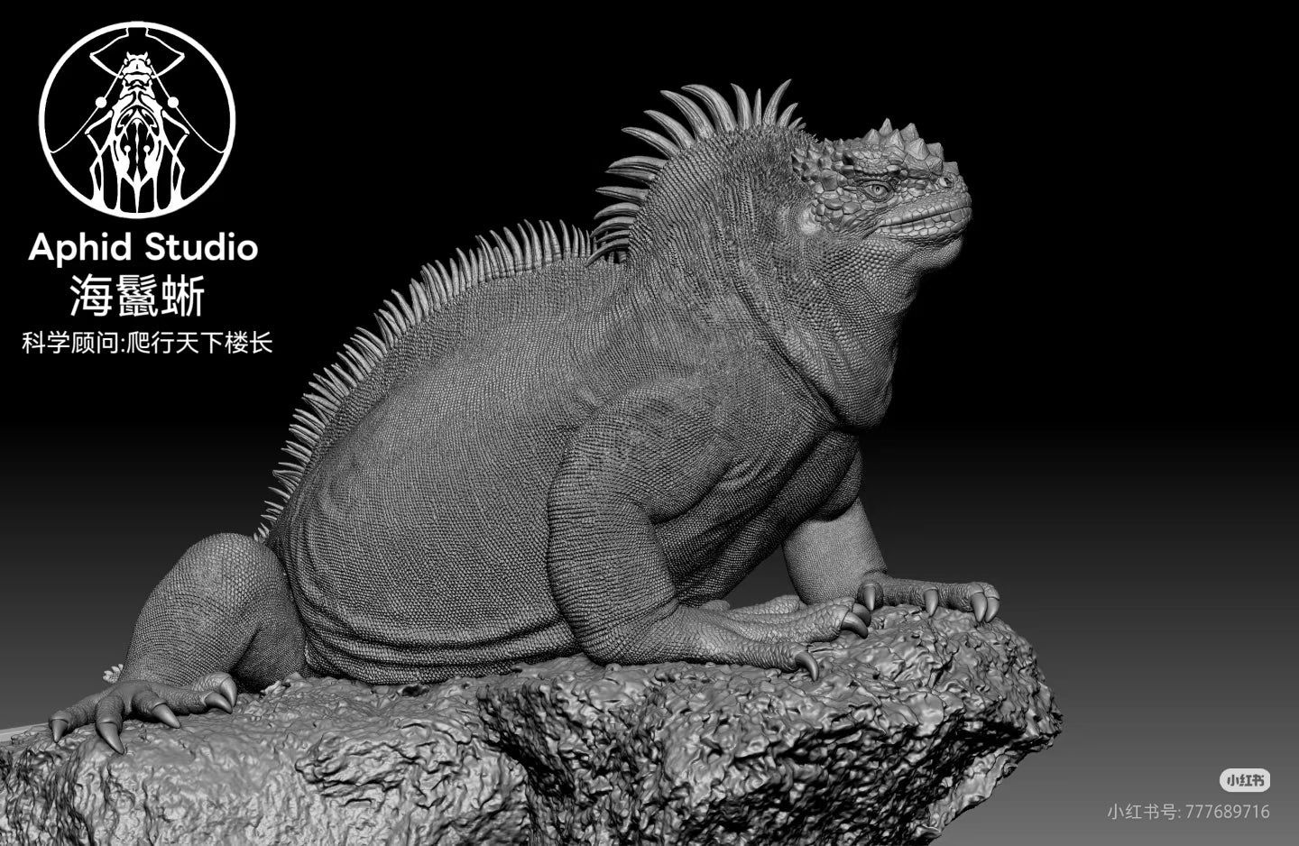 Modèle d'iguane marin d'APHID STUDIO