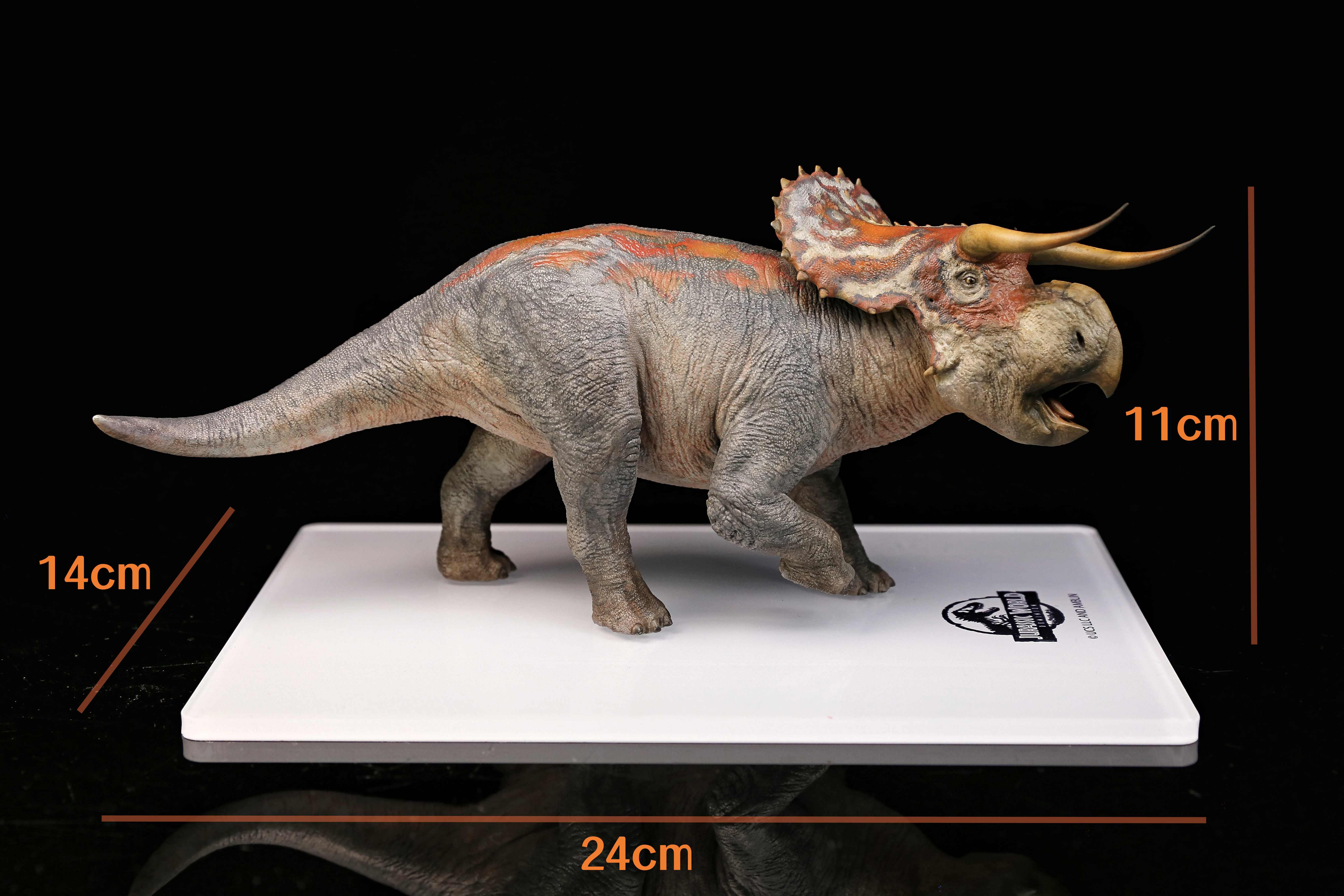 DINO DREAM 1:30 Scale Nasutoceratops Model