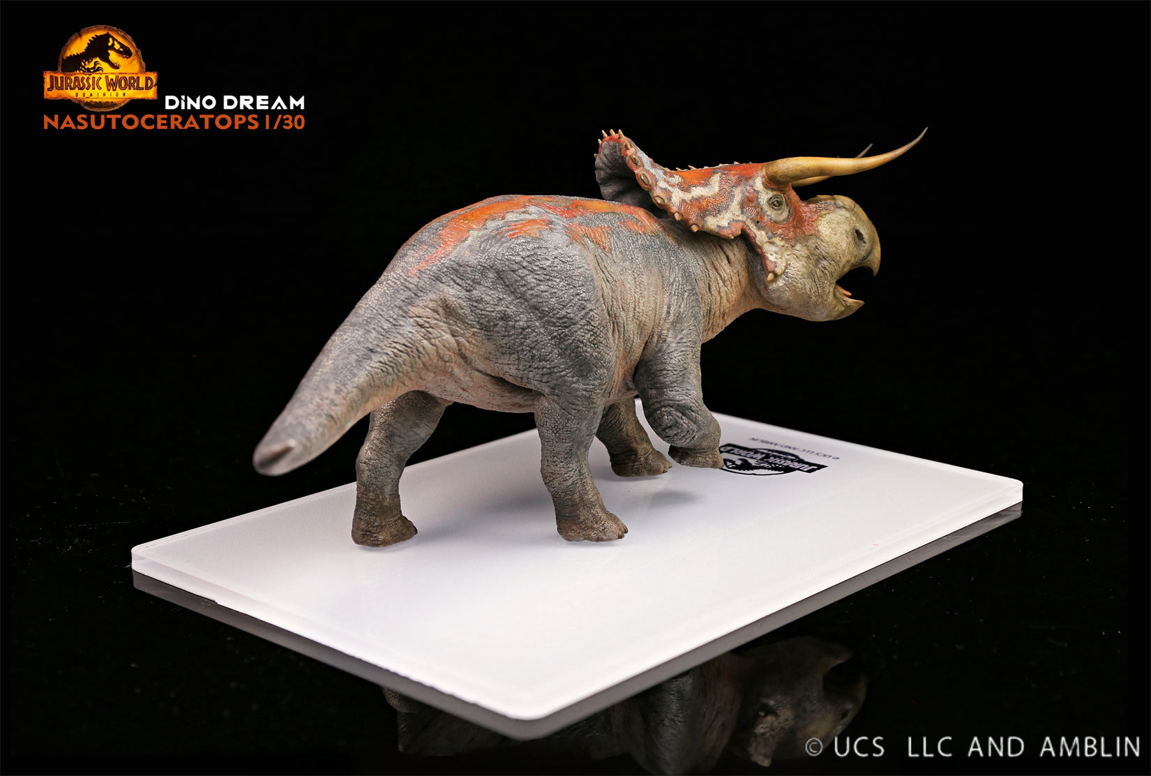 DINO DREAM 1:30 Scale Nasutoceratops Model