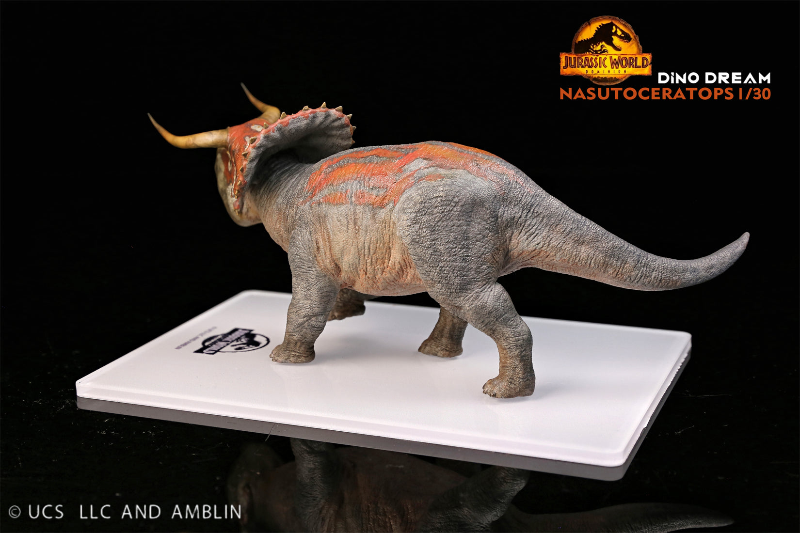 DINO DREAM 1:30 Scale Nasutoceratops Model