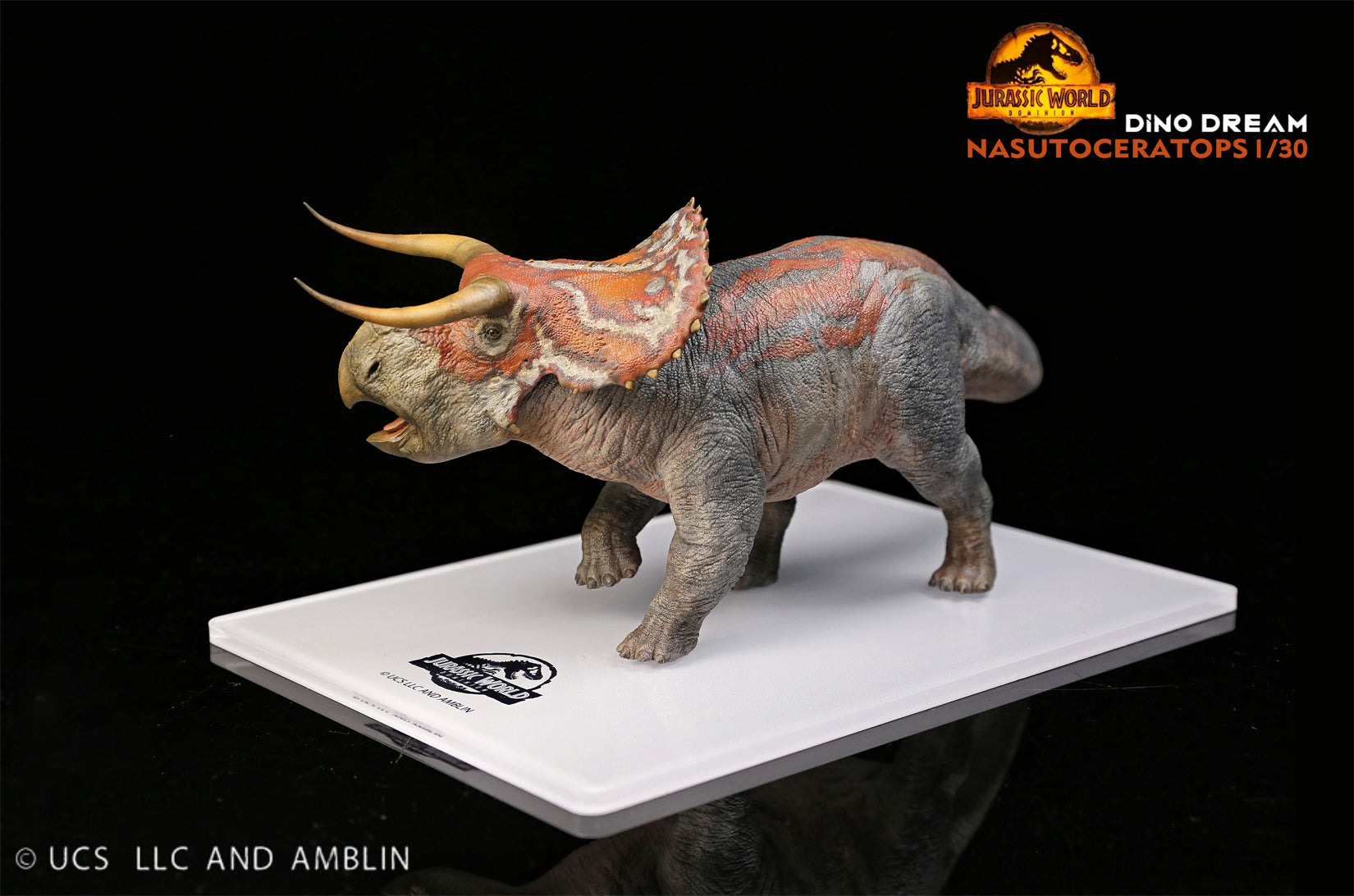 DINO DREAM 1:30 Scale Nasutoceratops Model