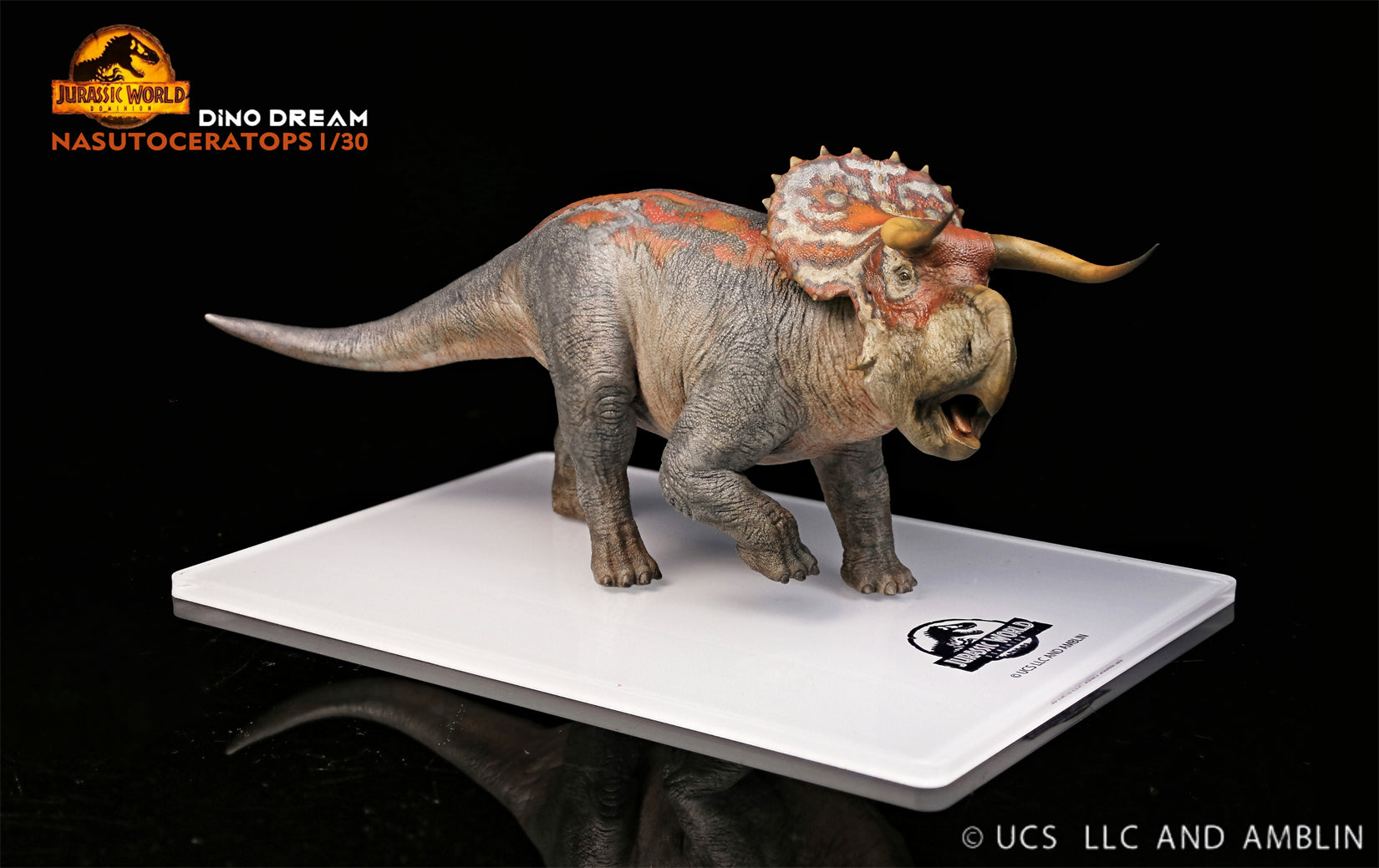 DINO DREAM 1:30 Scale Nasutoceratops Model