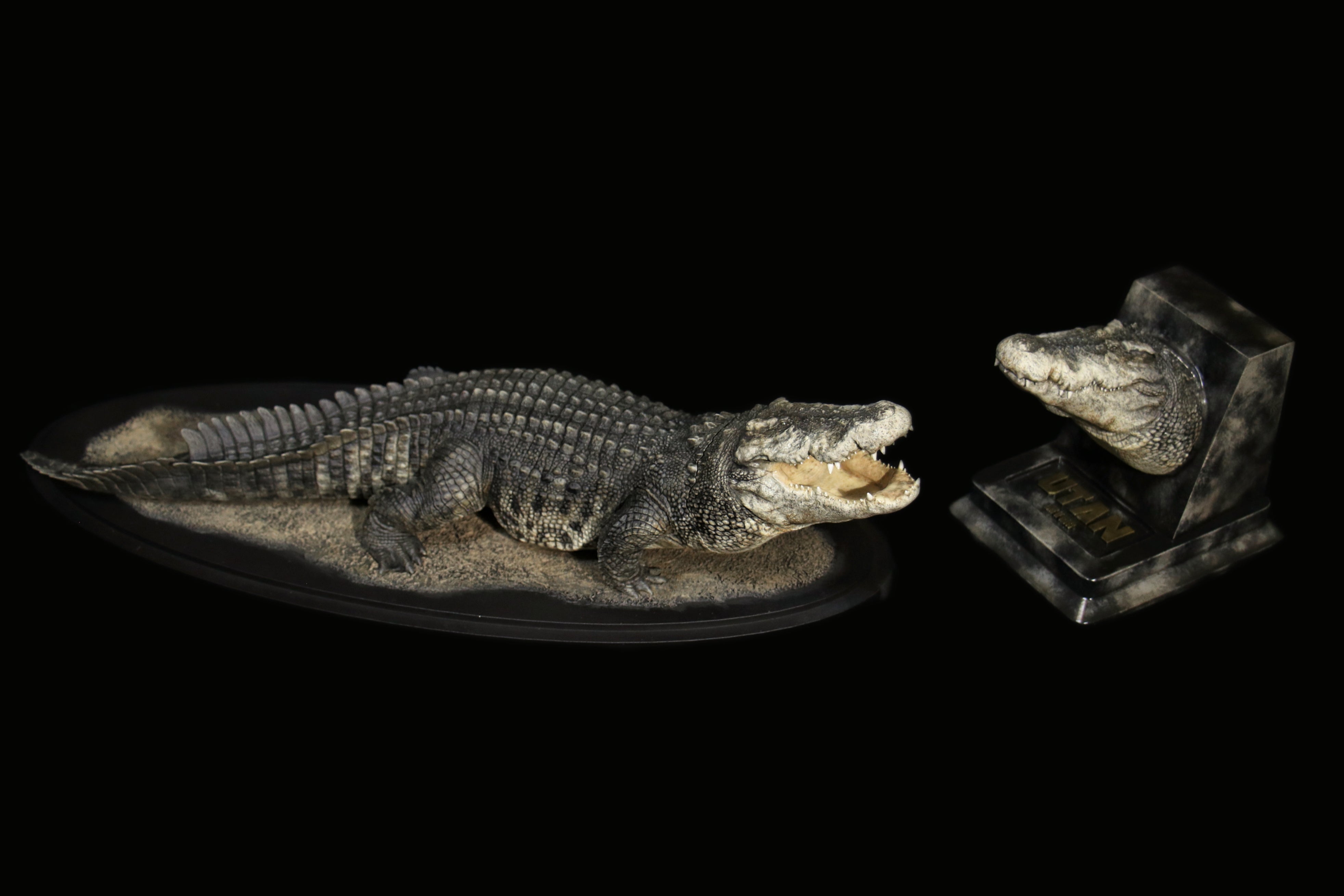 The Crocs Man Studio Crocodile Utan Model