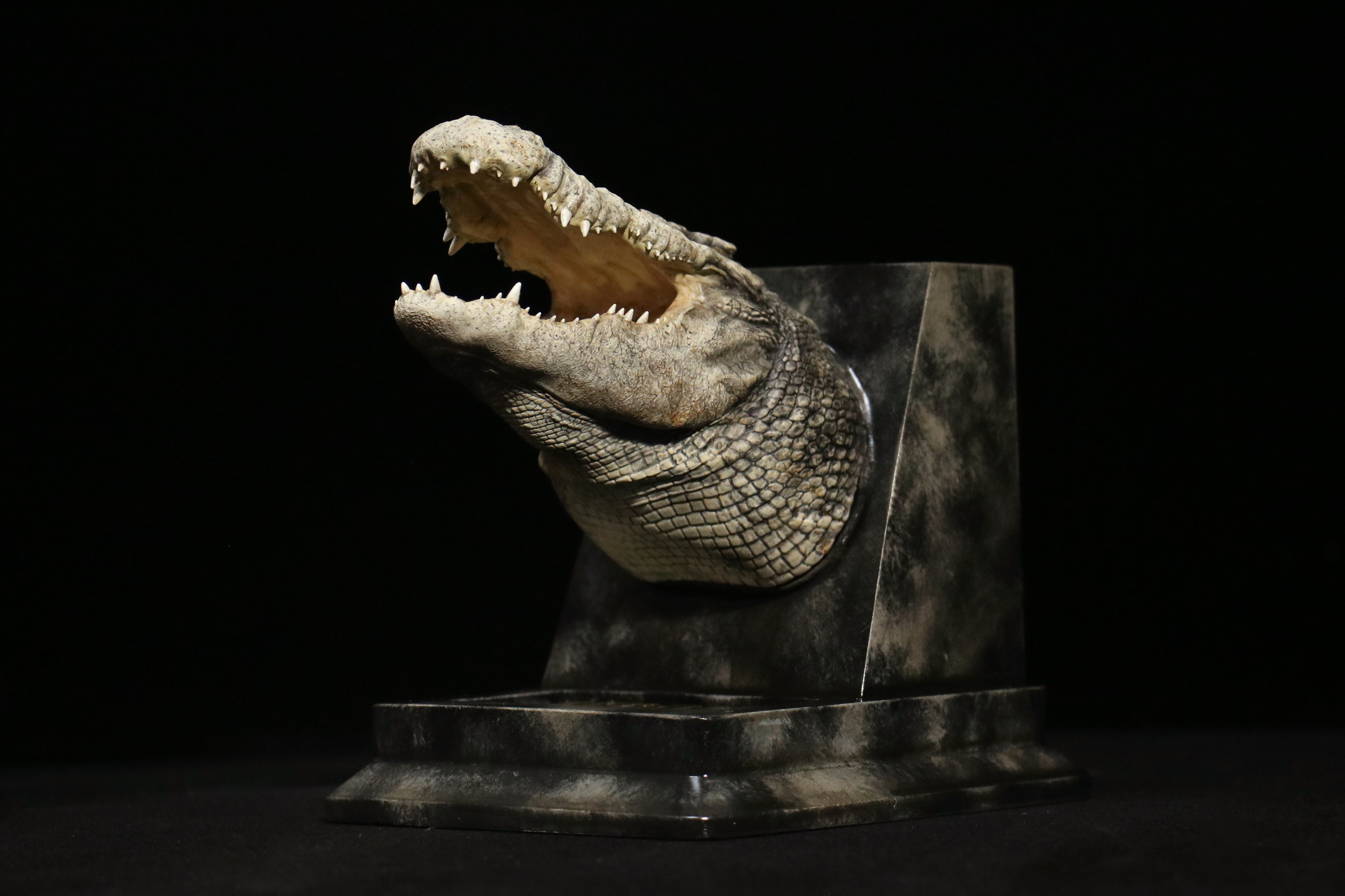 The Crocs Man Studio Crocodile Utan Model