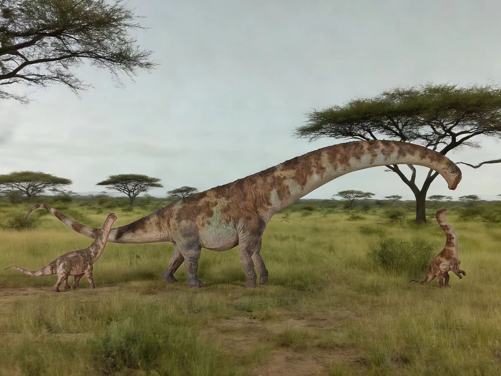 HAOLONGGOOD 1:35 Scale Dreadnoughtus Model