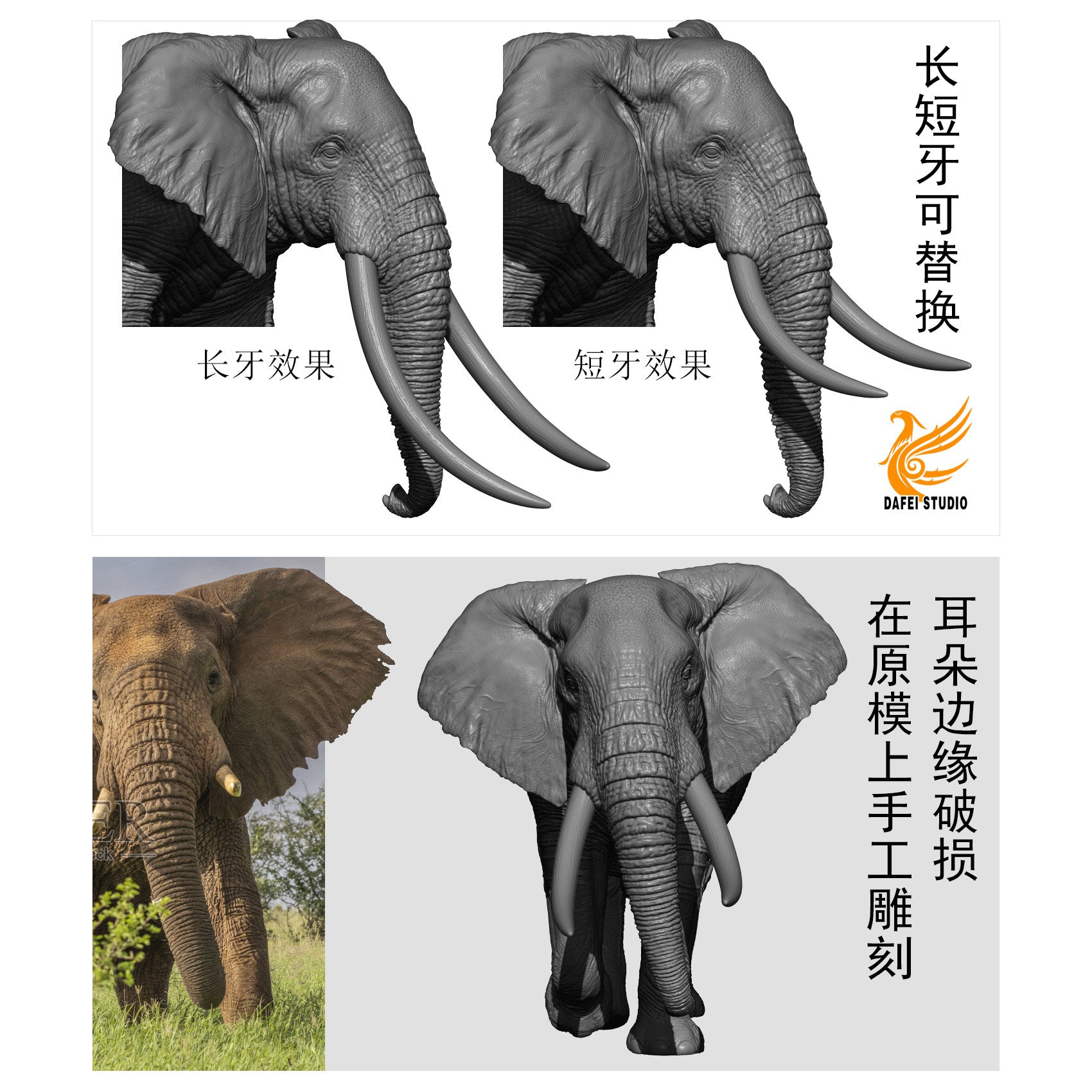 DAFEI African Elephant 2.0 Model