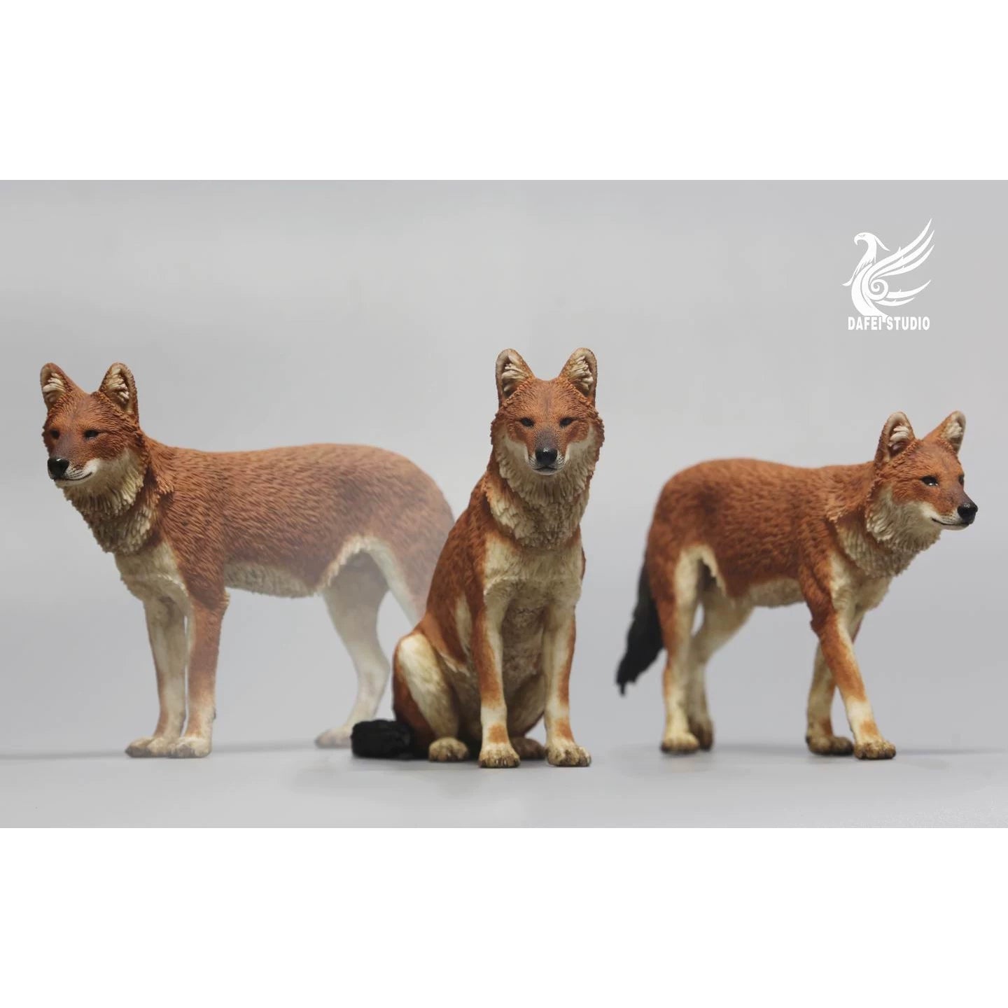 DAFEI Dhole Model