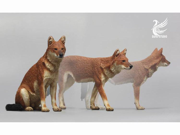 DAFEI Dhole Model