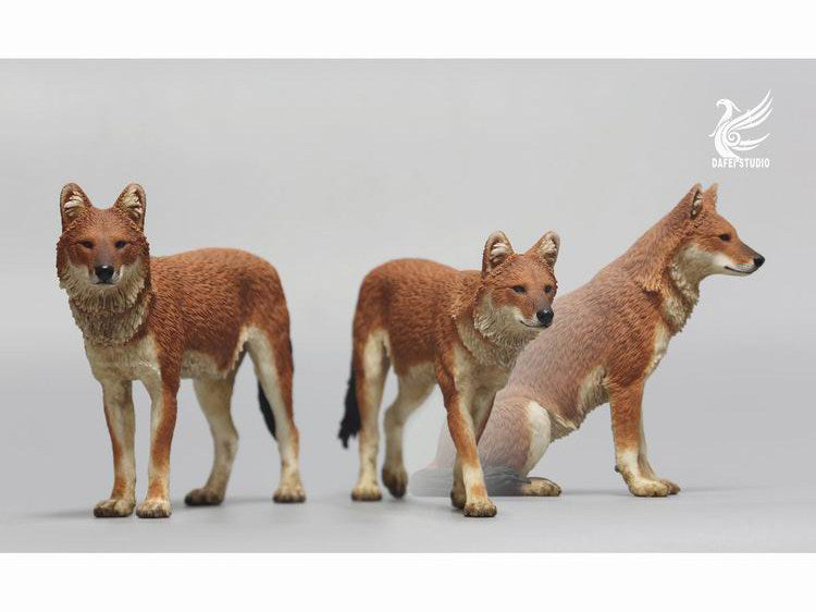 DAFEI Dhole Model