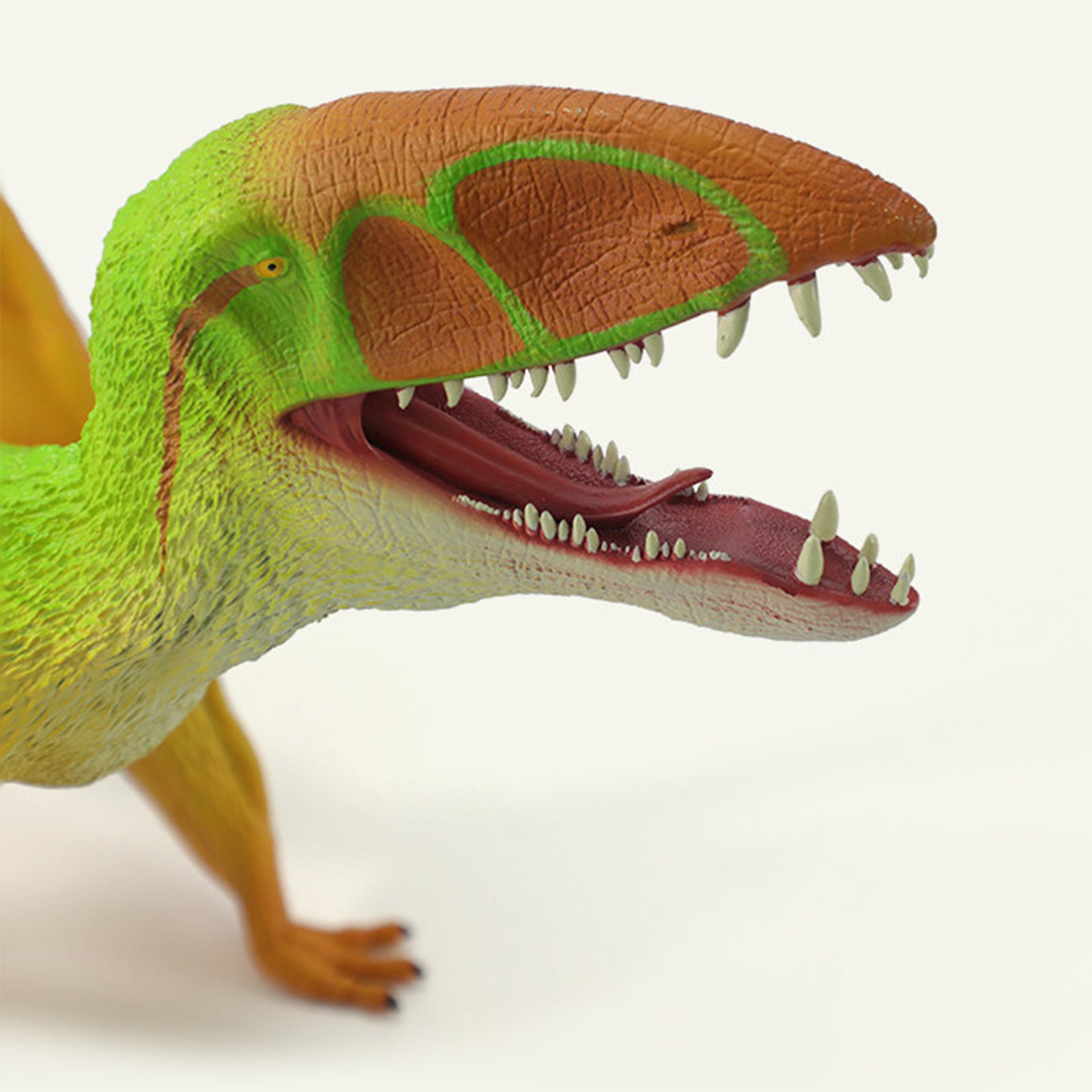 RECUR Dimorphodon Model Dinosaur Scene Decor