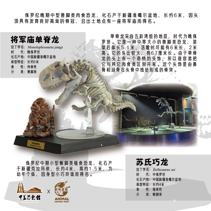 Dinosaur Series Blind Box Model
