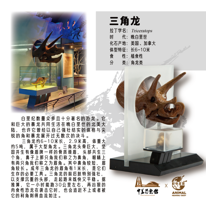 Dinosaur Series Blind Box Model