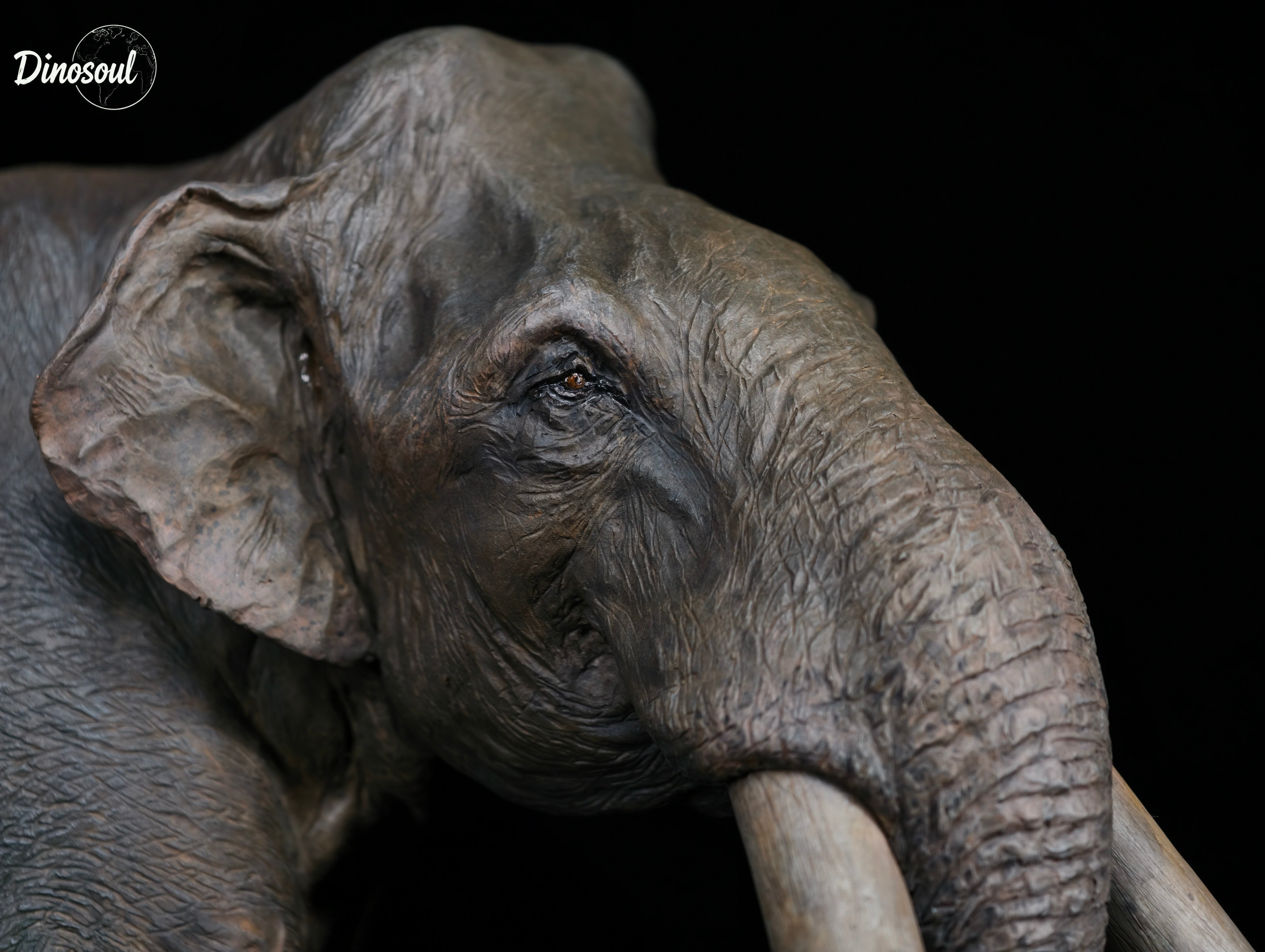 Dinosoul Studio Columbian mammoth Model