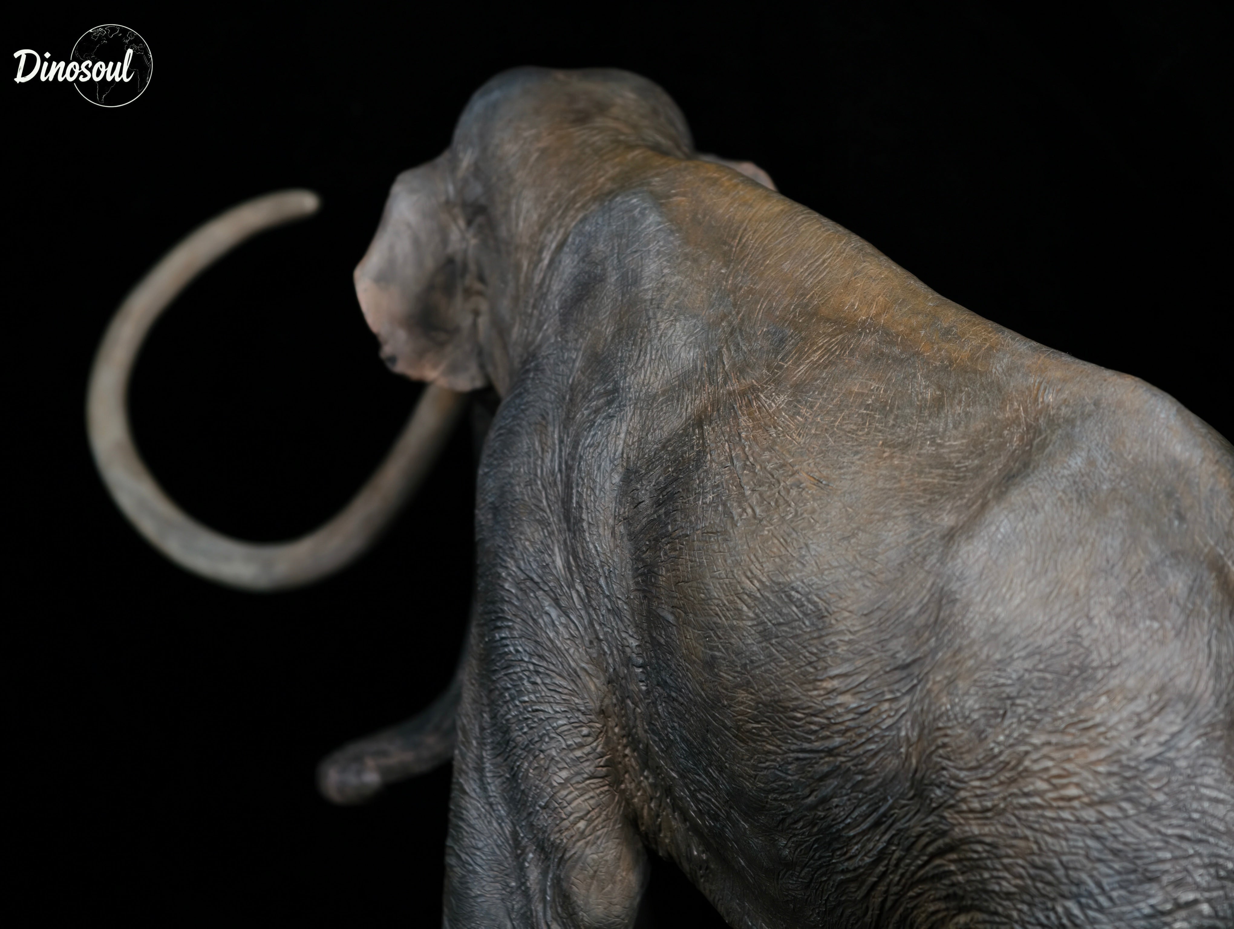 Dinosoul Studio Columbian mammoth Model