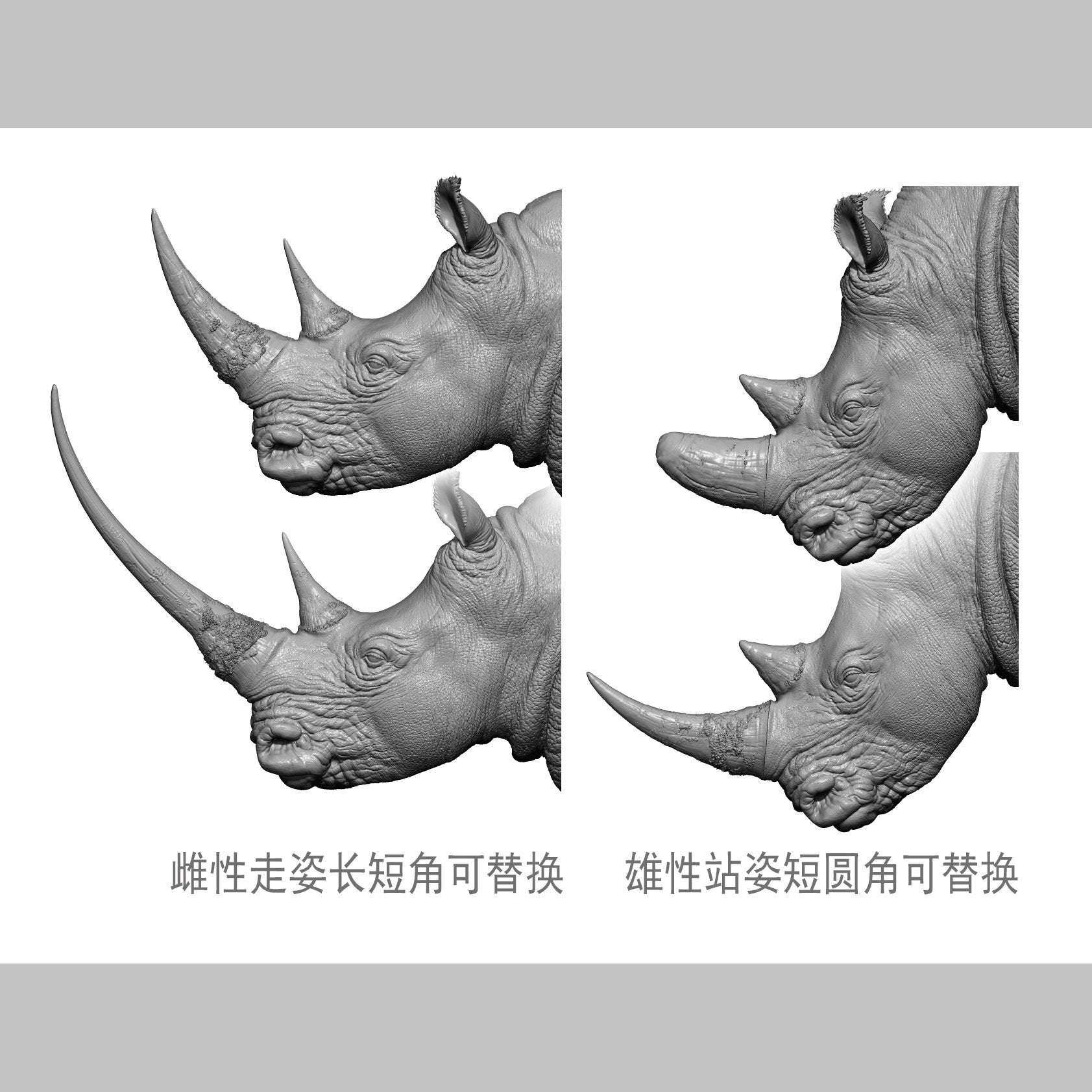DAFEI White rhinoceros Model