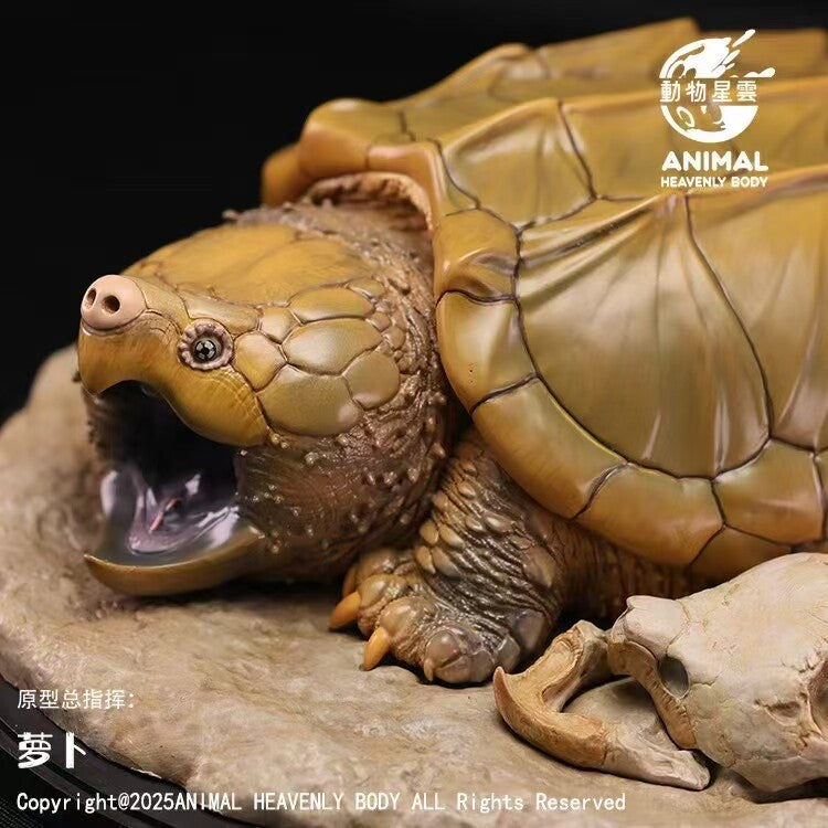 Animal Heavenly Body Alligator Snapping Turtle Model