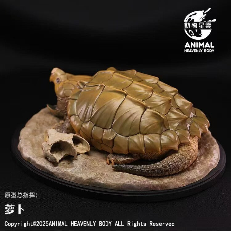 Animal Heavenly Body Alligator Snapping Turtle Model