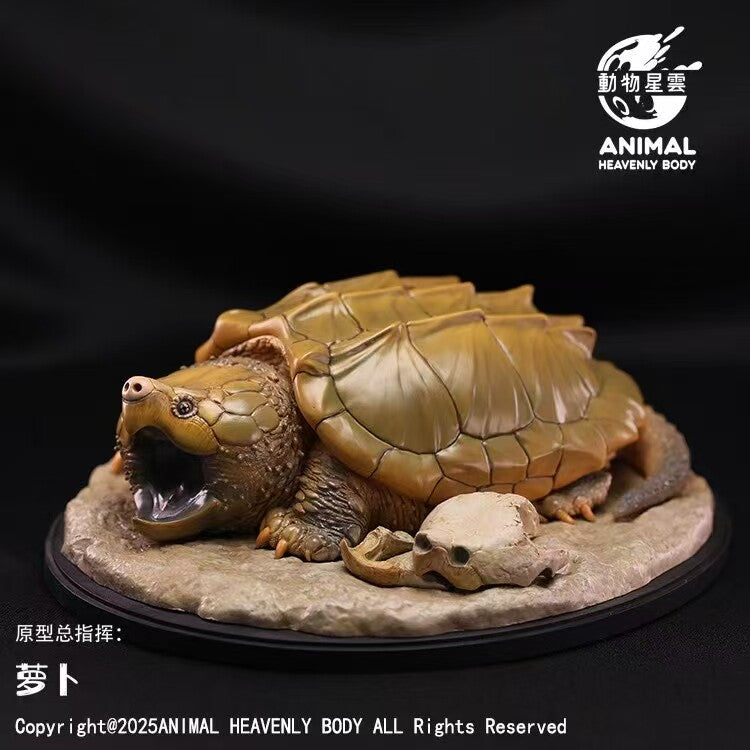 Animal Heavenly Body Alligator Snapping Turtle Model