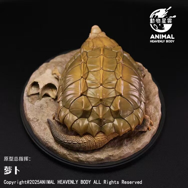 Animal Heavenly Body Alligator Snapping Turtle Model
