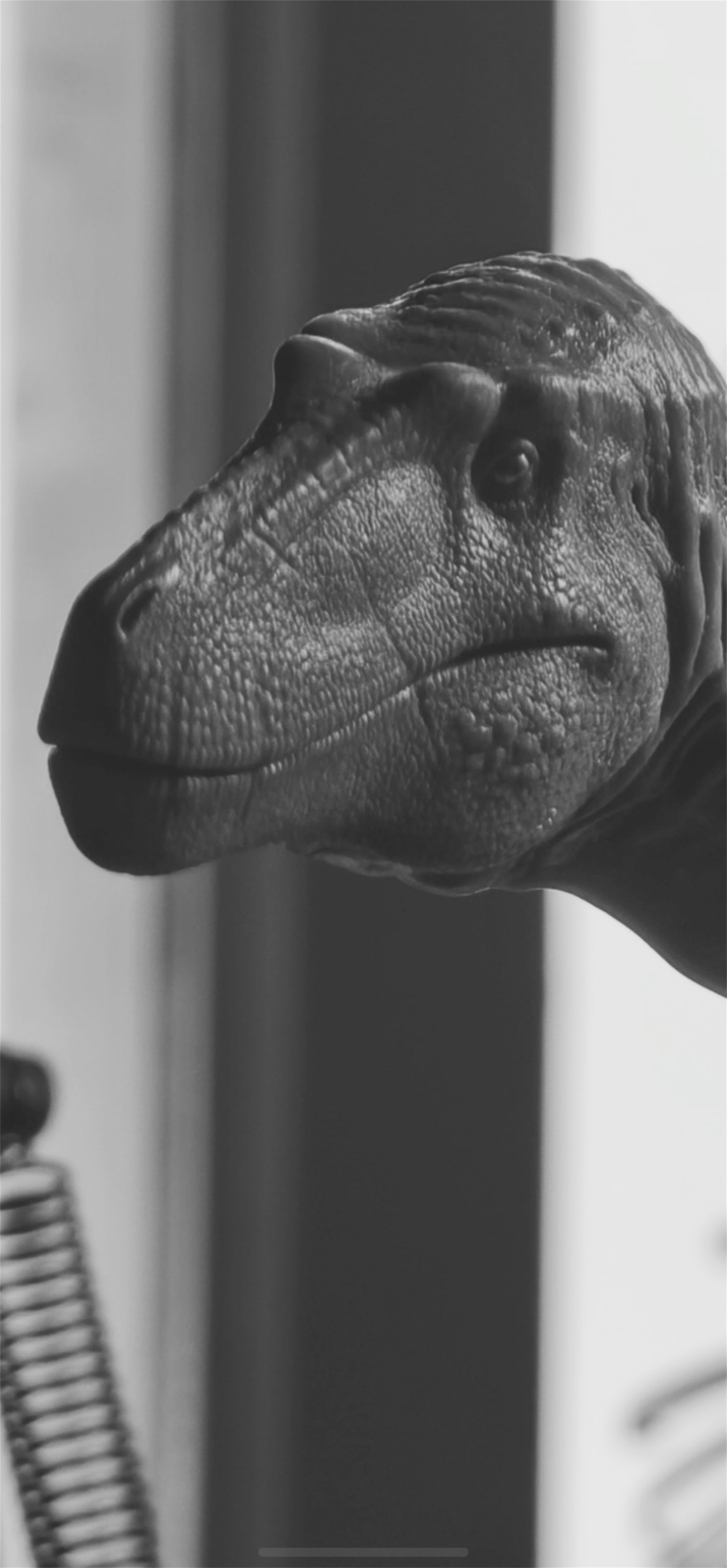 MK Studio 1:20 Scale Nanotyrannus Model