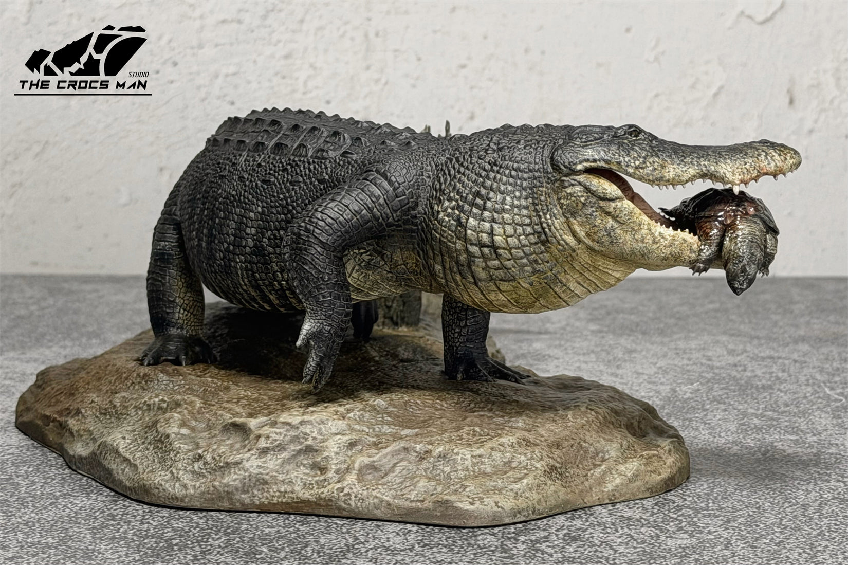 The Crocs Man Studio American Alligator Model