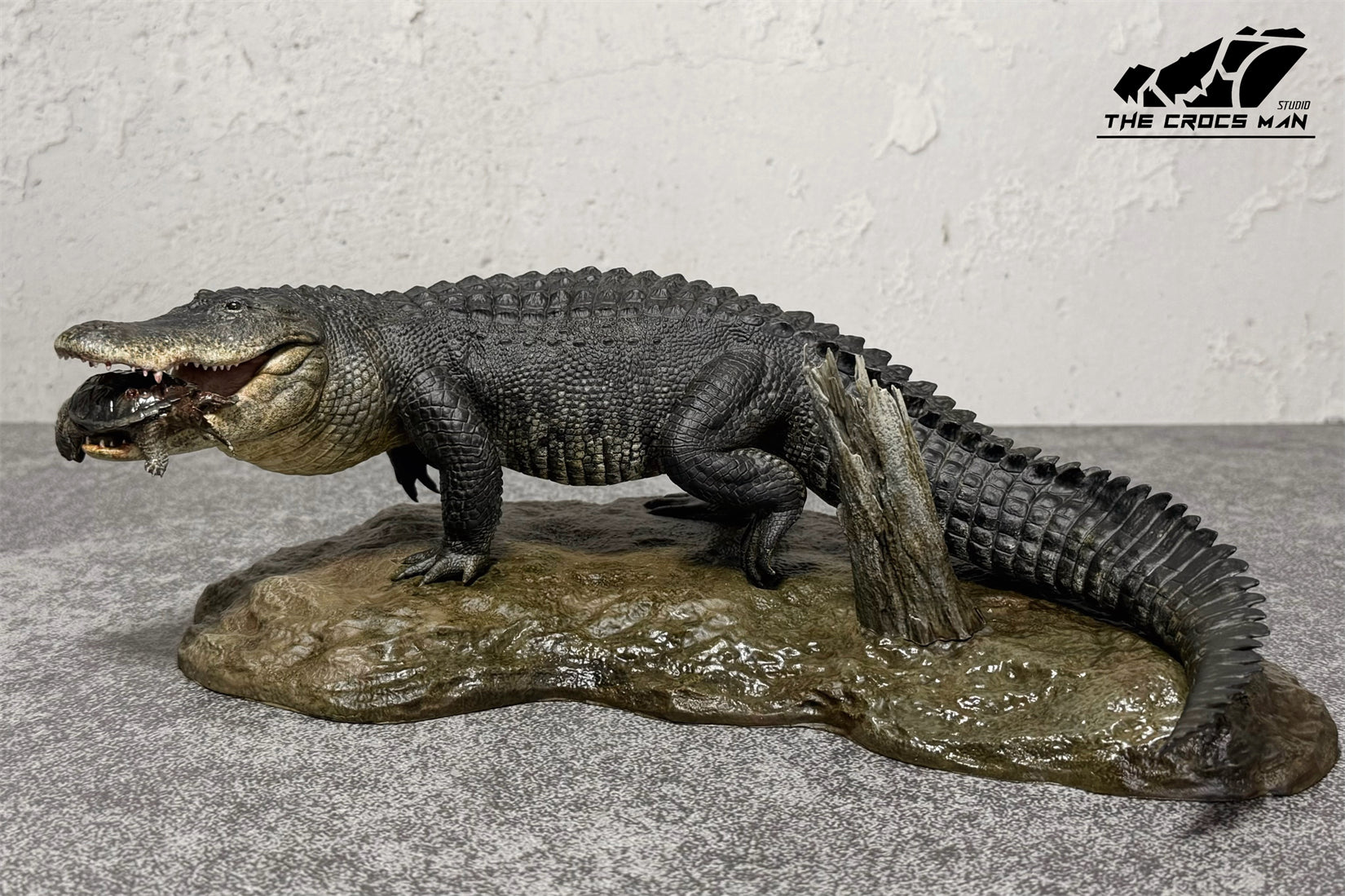 The Crocs Man Studio American Alligator Model