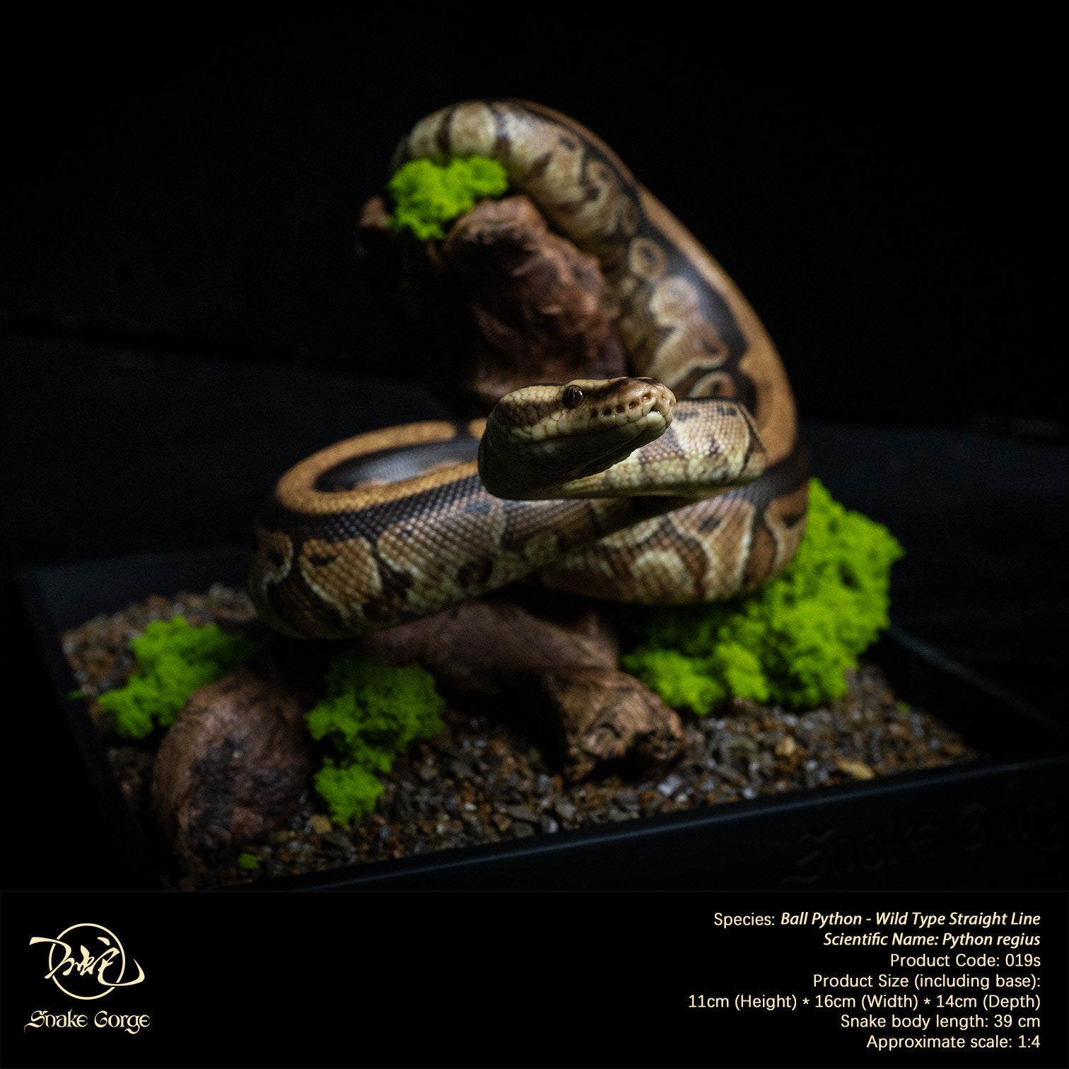 Snake Gorge Ball python Model