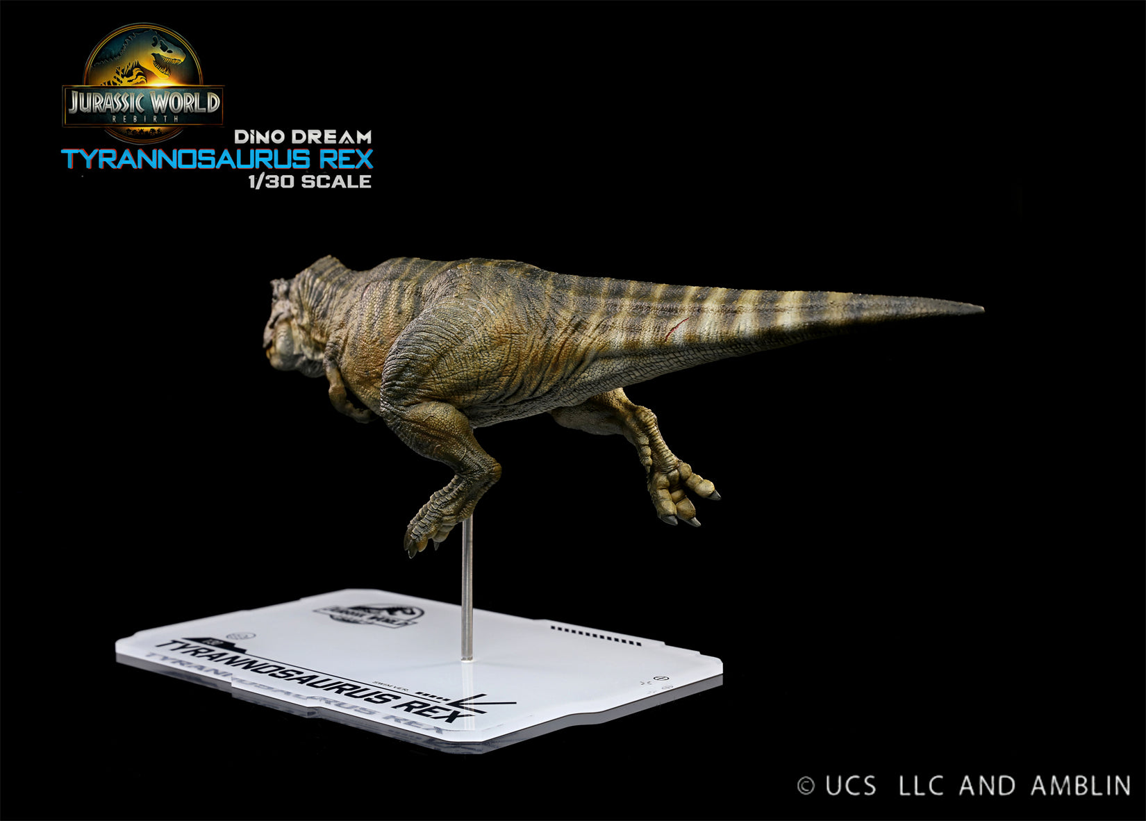 DINO DREAM 1:30 Scale JW4 Rebirth Tyrannosaurus Rex Swim Ver Model