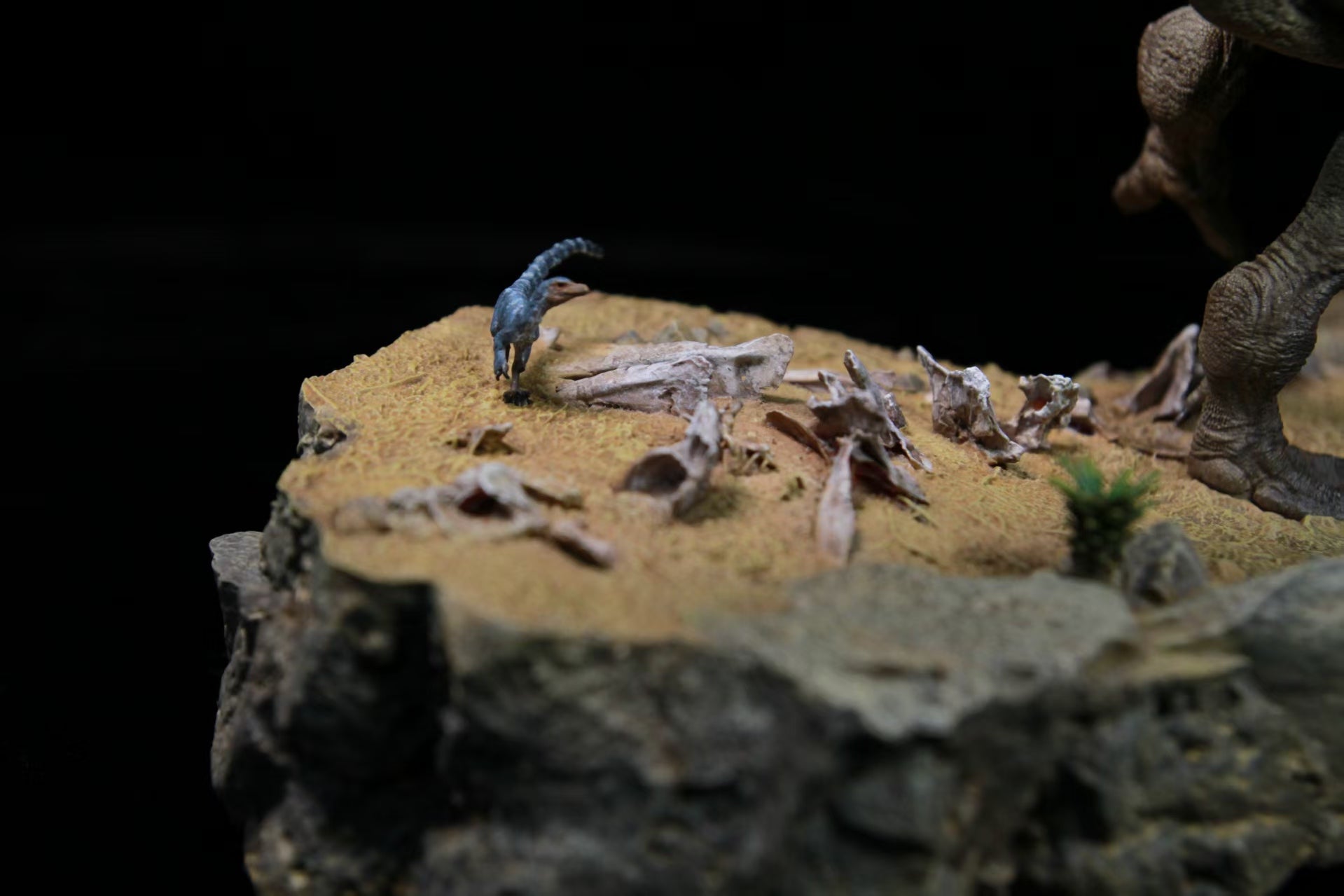 SHOWANNA Giganotosaurus Model