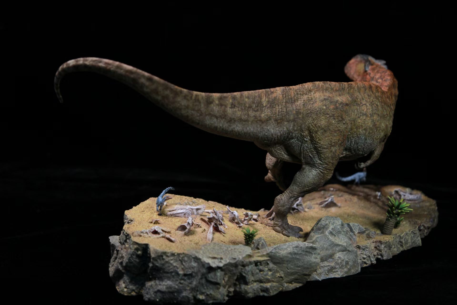 SHOWANNA Giganotosaurus Model