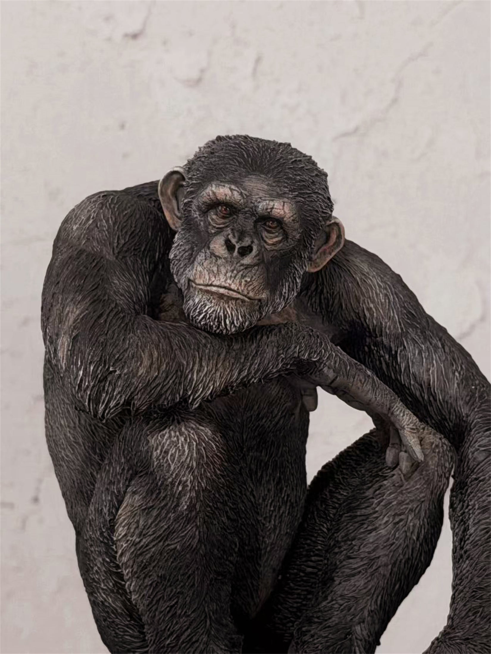 APHID STUDIO Chimpanzee Model