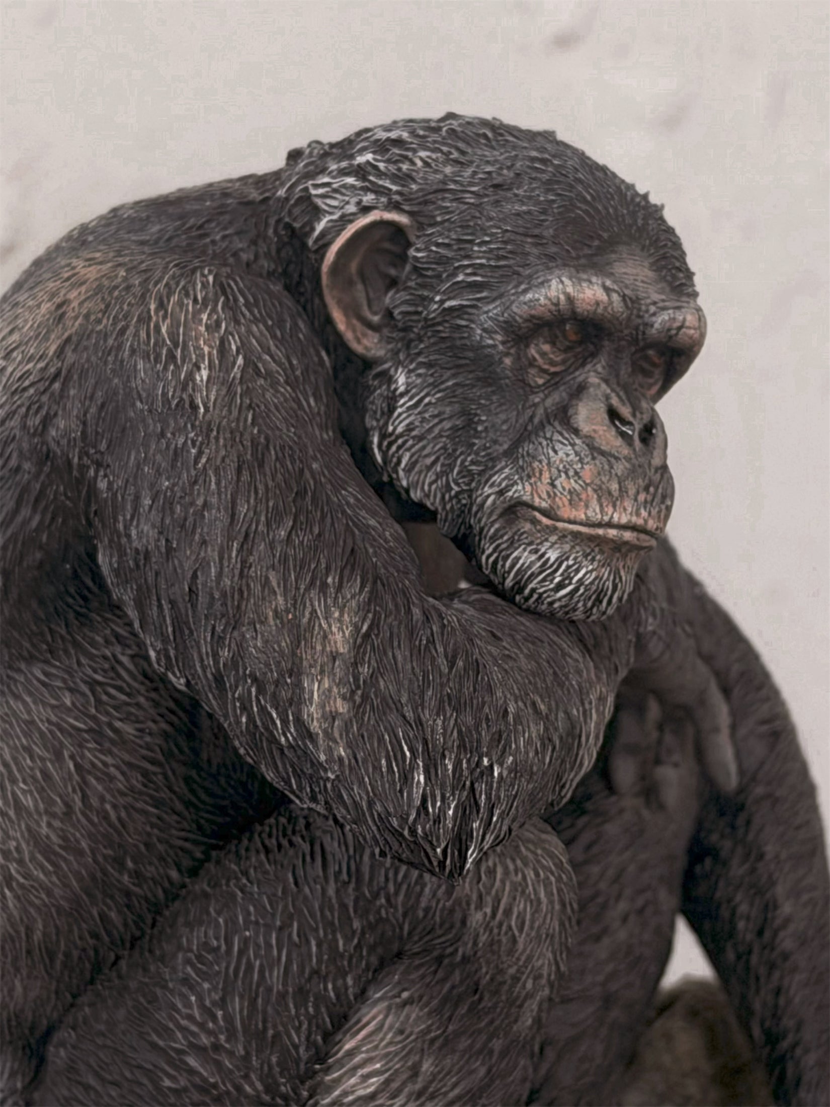 APHID STUDIO Chimpanzee Model