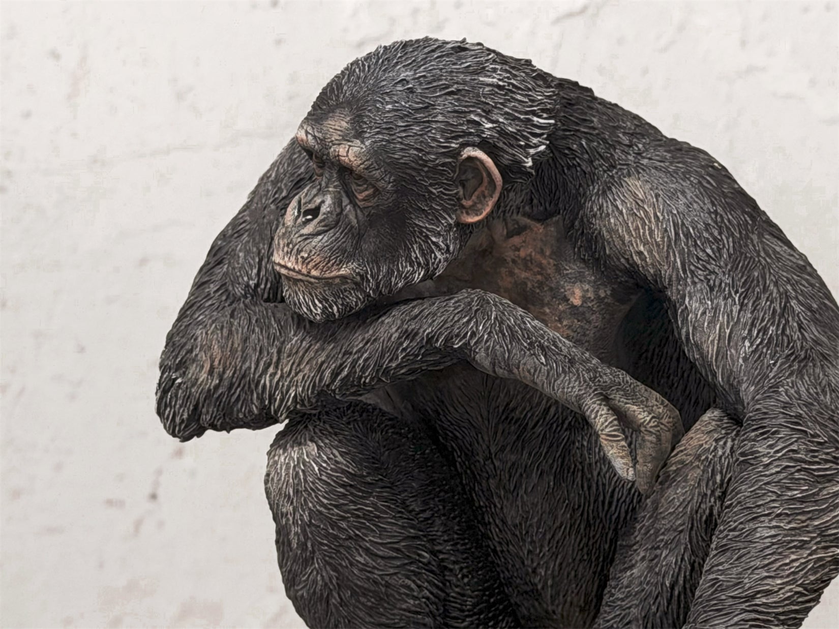 APHID STUDIO Chimpanzee Model