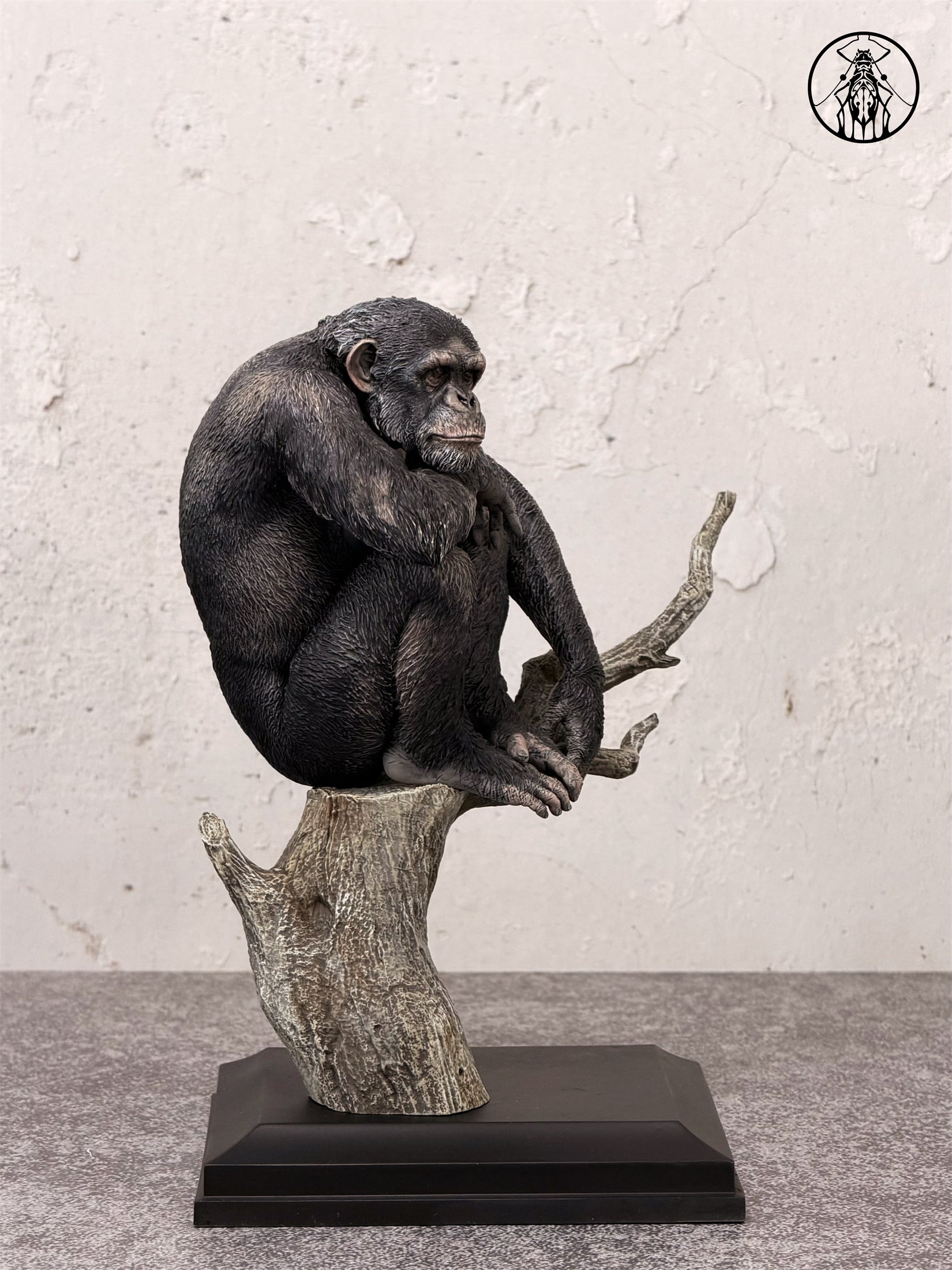 APHID STUDIO Chimpanzee Model