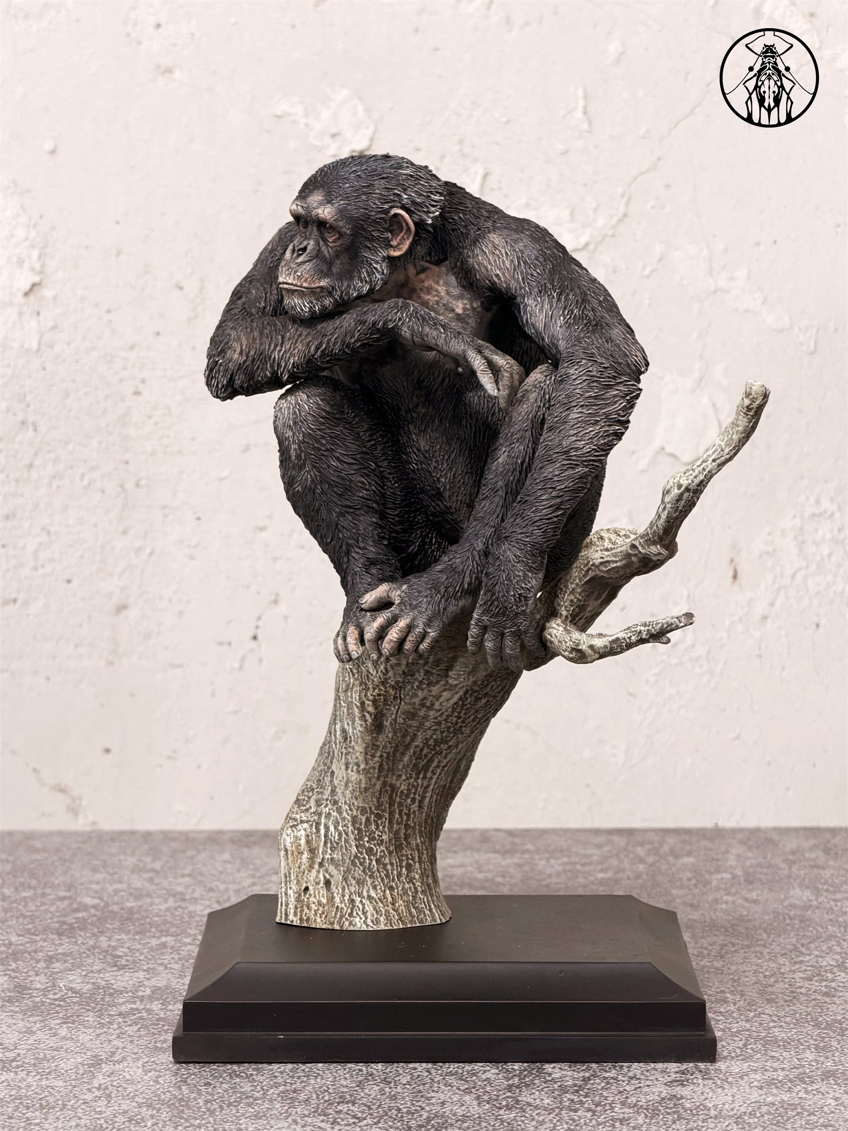 APHID STUDIO Chimpanzee Model
