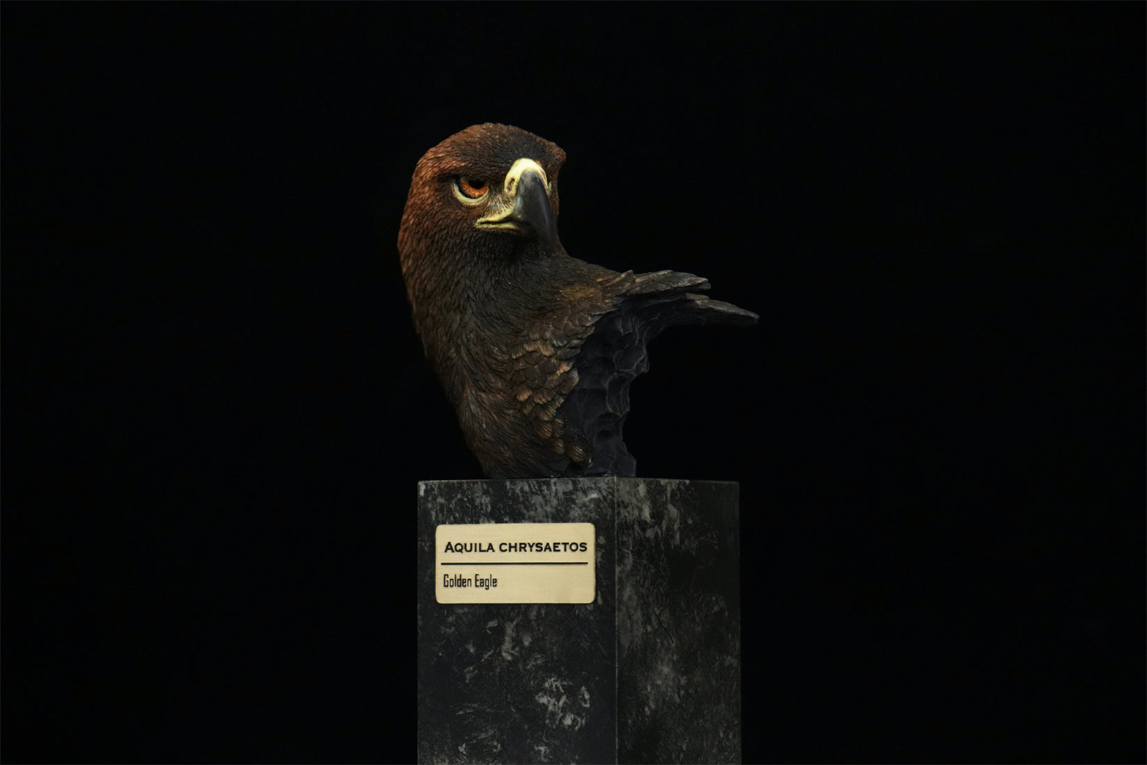 In the Wilds of China Series 01 Endangered Wildlife Art Sculpture Model