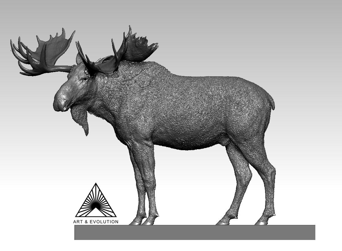 Art&Evolution Studio Moose Model