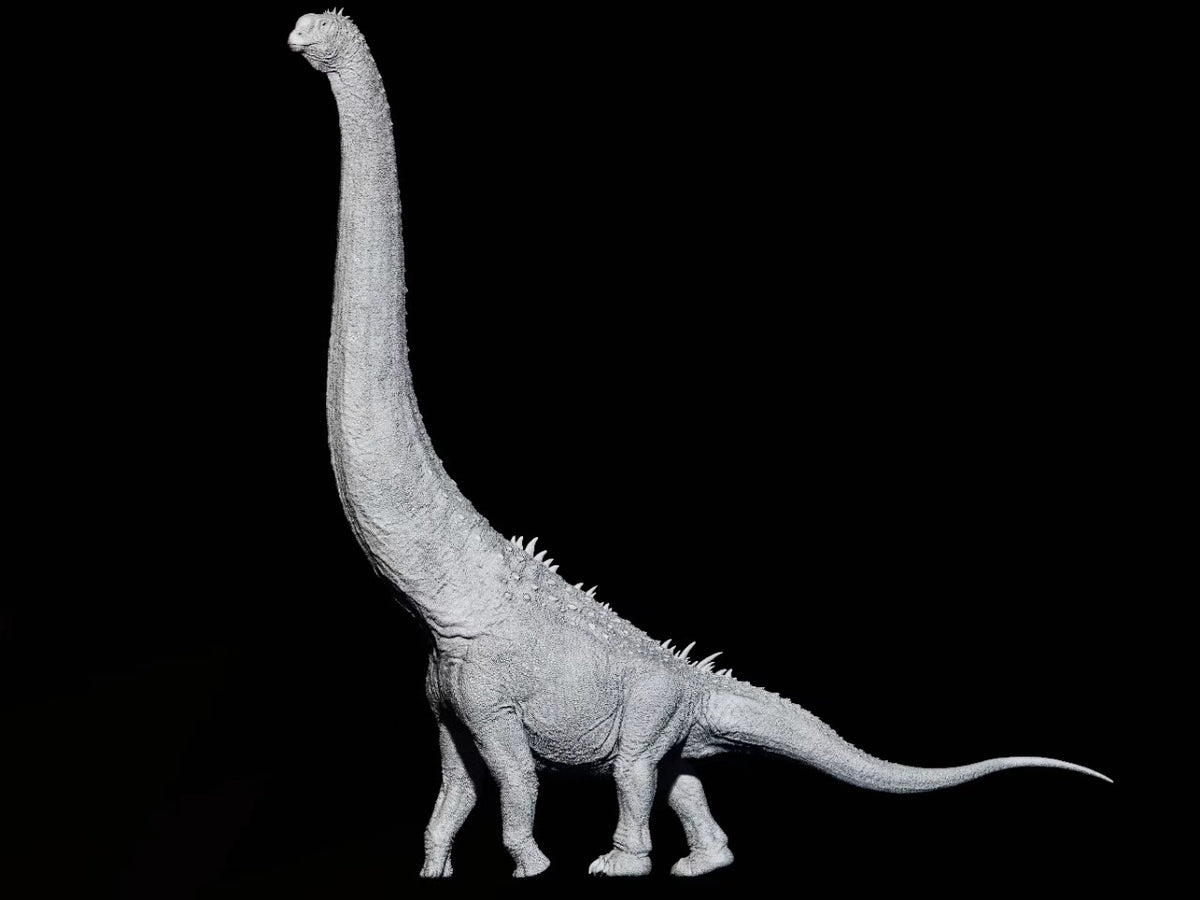 SHOWANNA 1/35 Scale Sauroposeidon Model