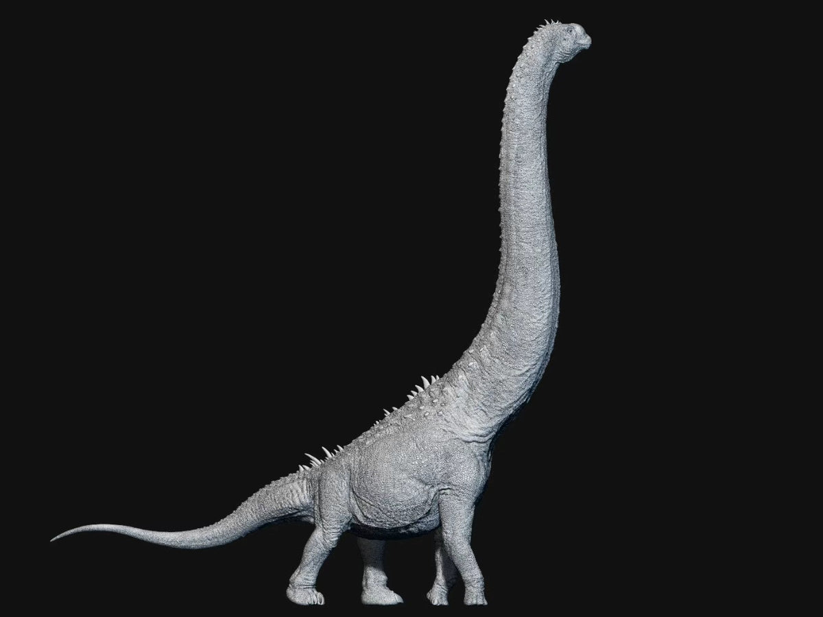 SHOWANNA 1/35 Scale Sauroposeidon Model