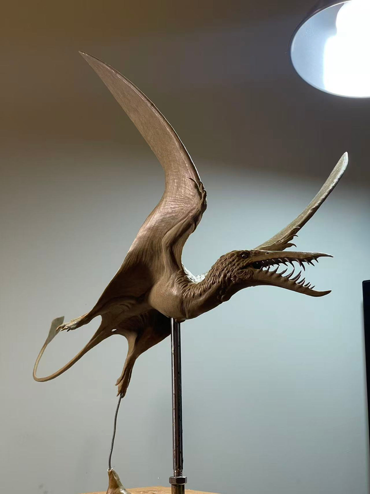 Sensen 1:1 Scale Rhamphorhynchus Aspidorhynchus Scene Model