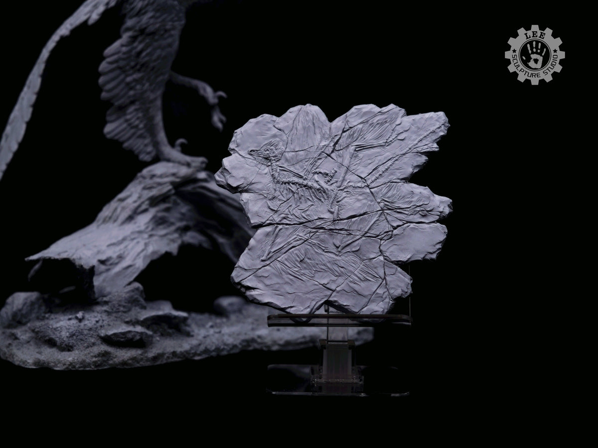 LEE Sculpture Studio 1/2 Scale Anchiornis huxleyi Model