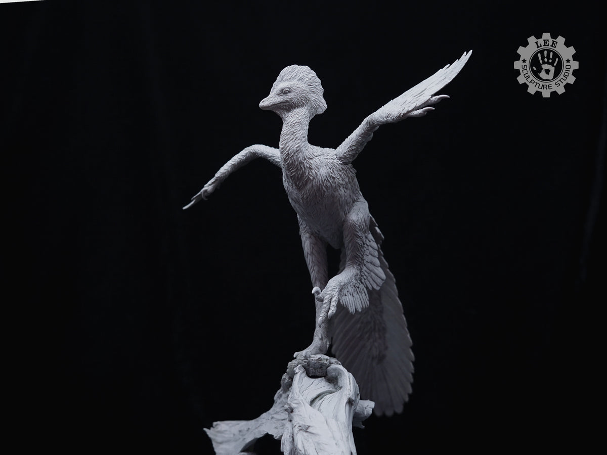 LEE Sculpture Studio 1/2 Scale Anchiornis huxleyi Model