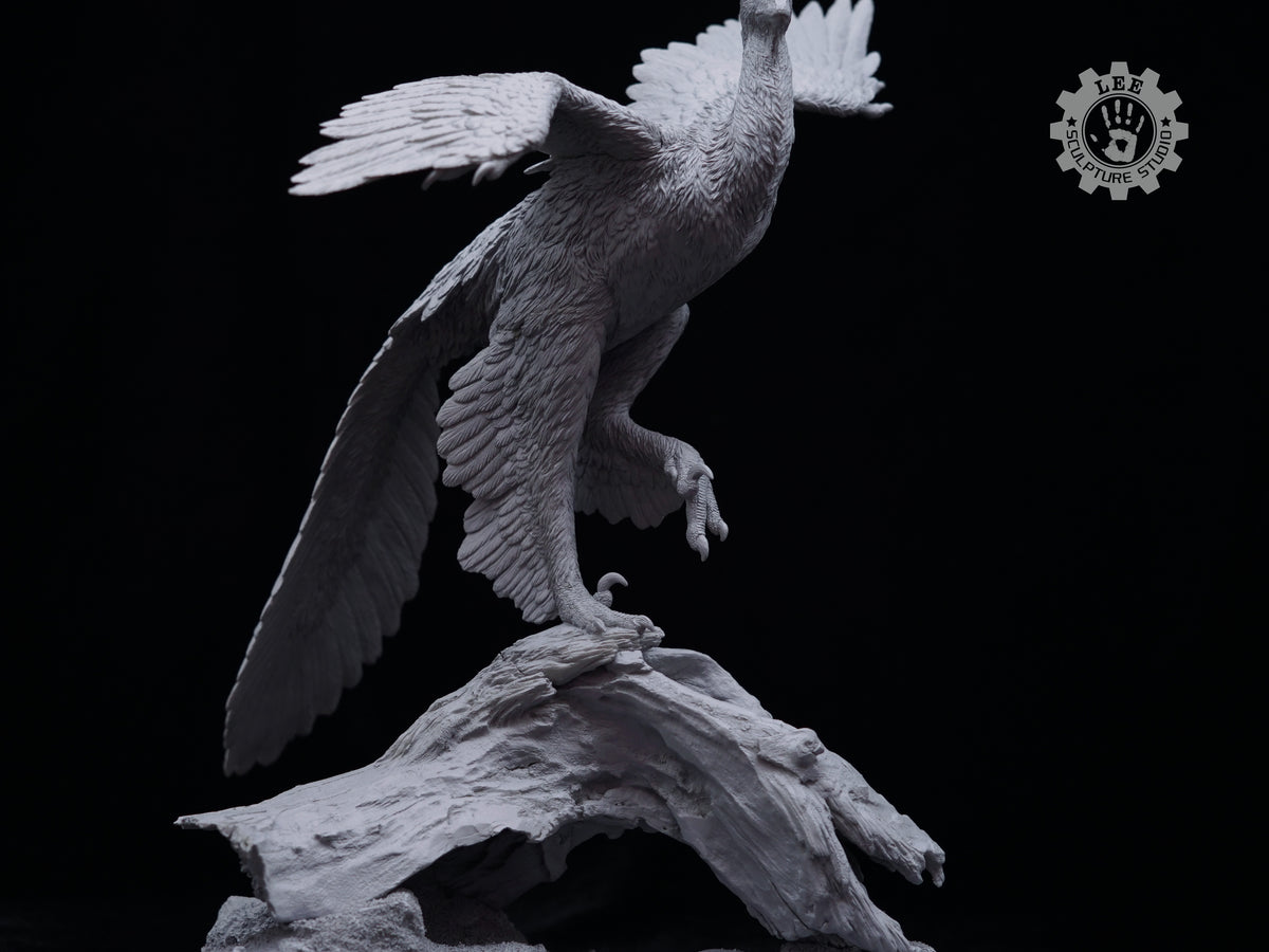 LEE Sculpture Studio 1/2 Scale Anchiornis huxleyi Model