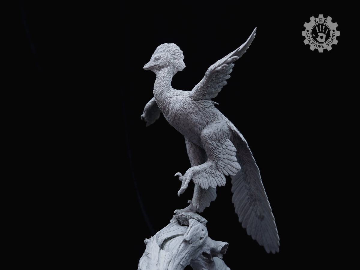 LEE Sculpture Studio 1/2 Scale Anchiornis huxleyi Model