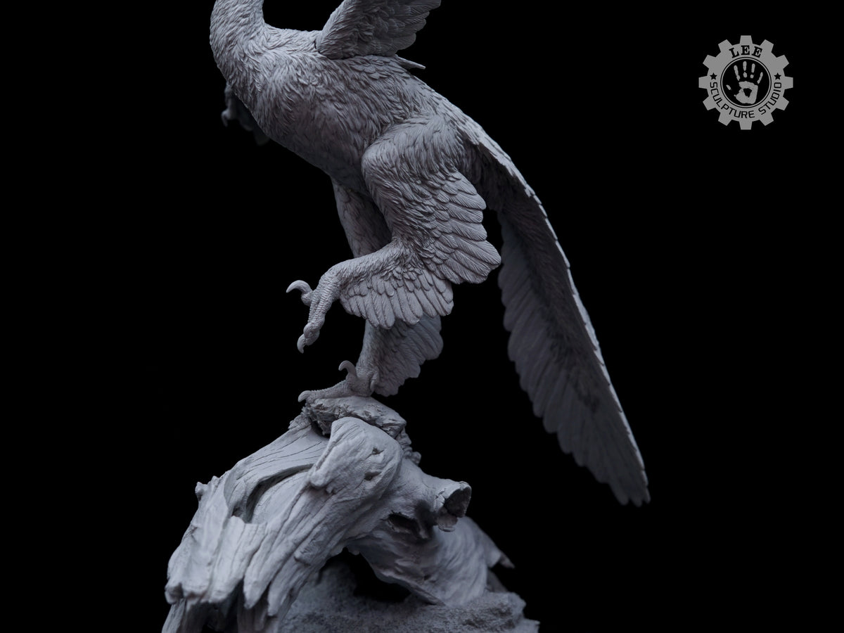 LEE Sculpture Studio 1/2 Scale Anchiornis huxleyi Model