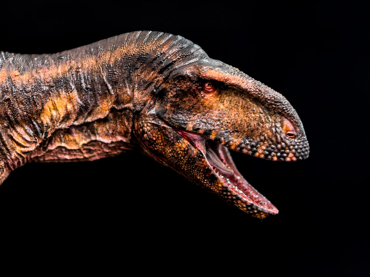 Anningpale 1/35 Scale Abelisaurus comahuensis Model