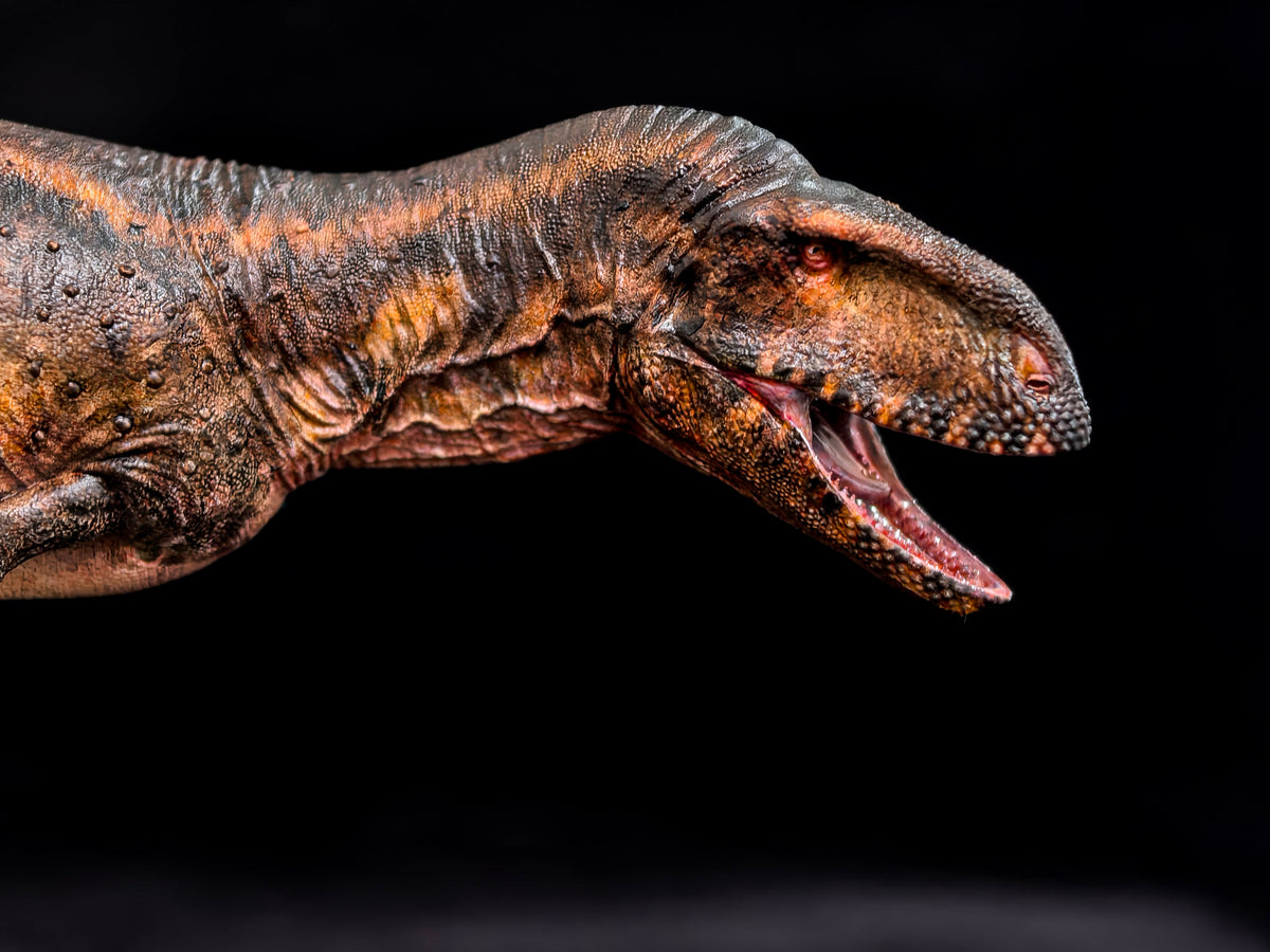 Anningpale 1/35 Scale Abelisaurus comahuensis Model