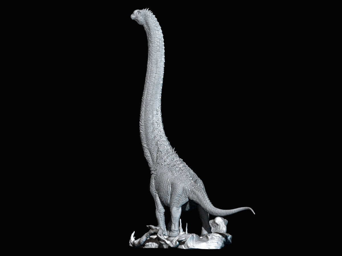 SHOWANNA 1/35 Scale Sauroposeidon Model
