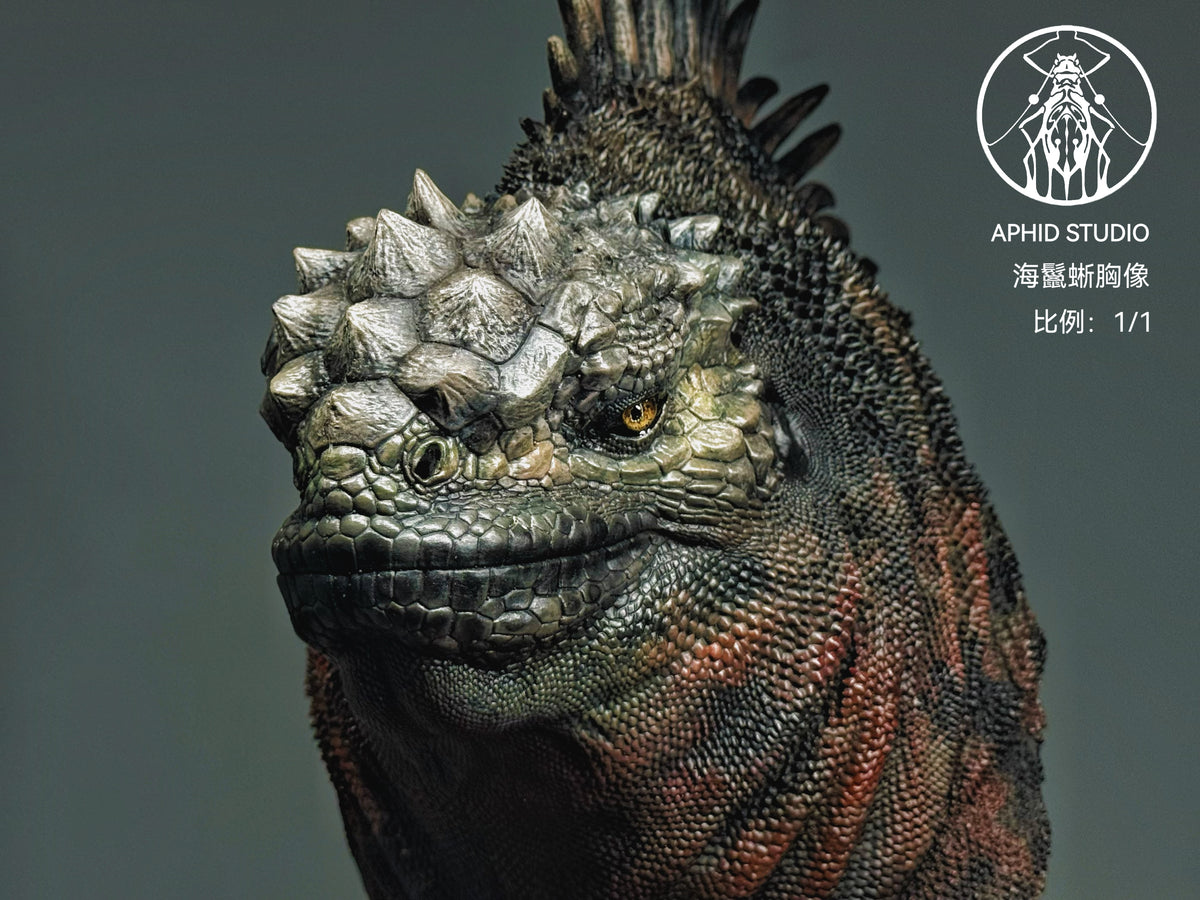 APHID STUDIO 1/1 Scale Marine iguana Bust Model