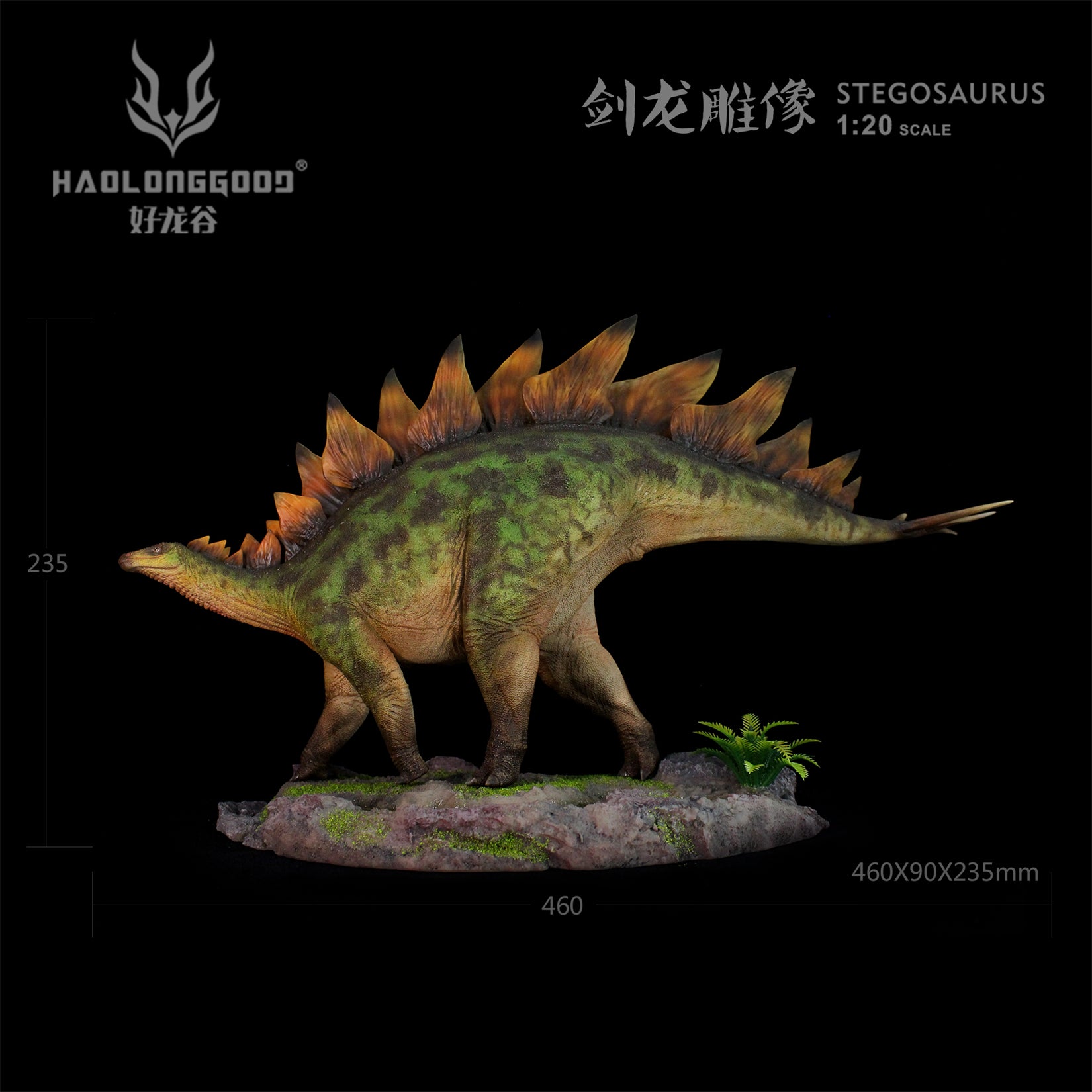 HAOLONGGOOD 1:20 Scale Stegosaurus Model